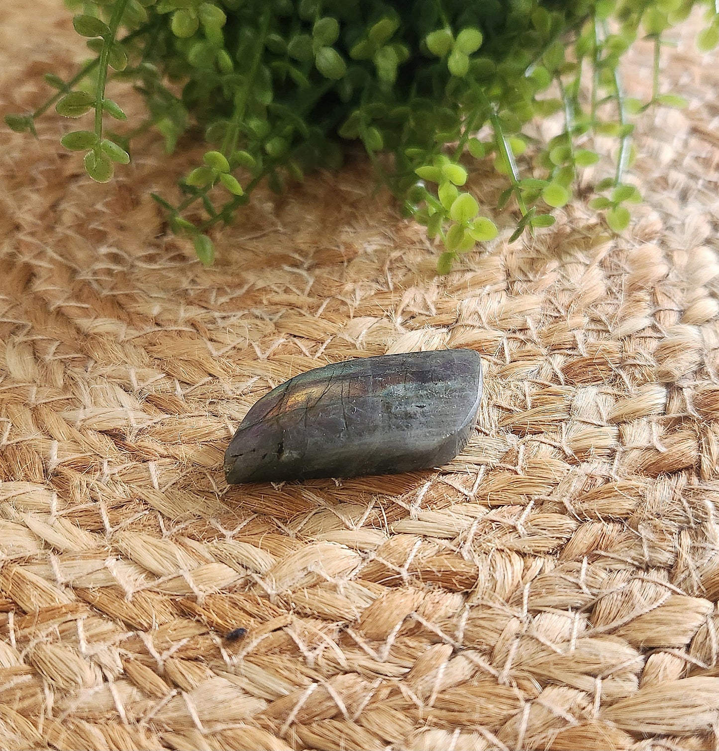 Labradorite freeform avec flash mauve/orange