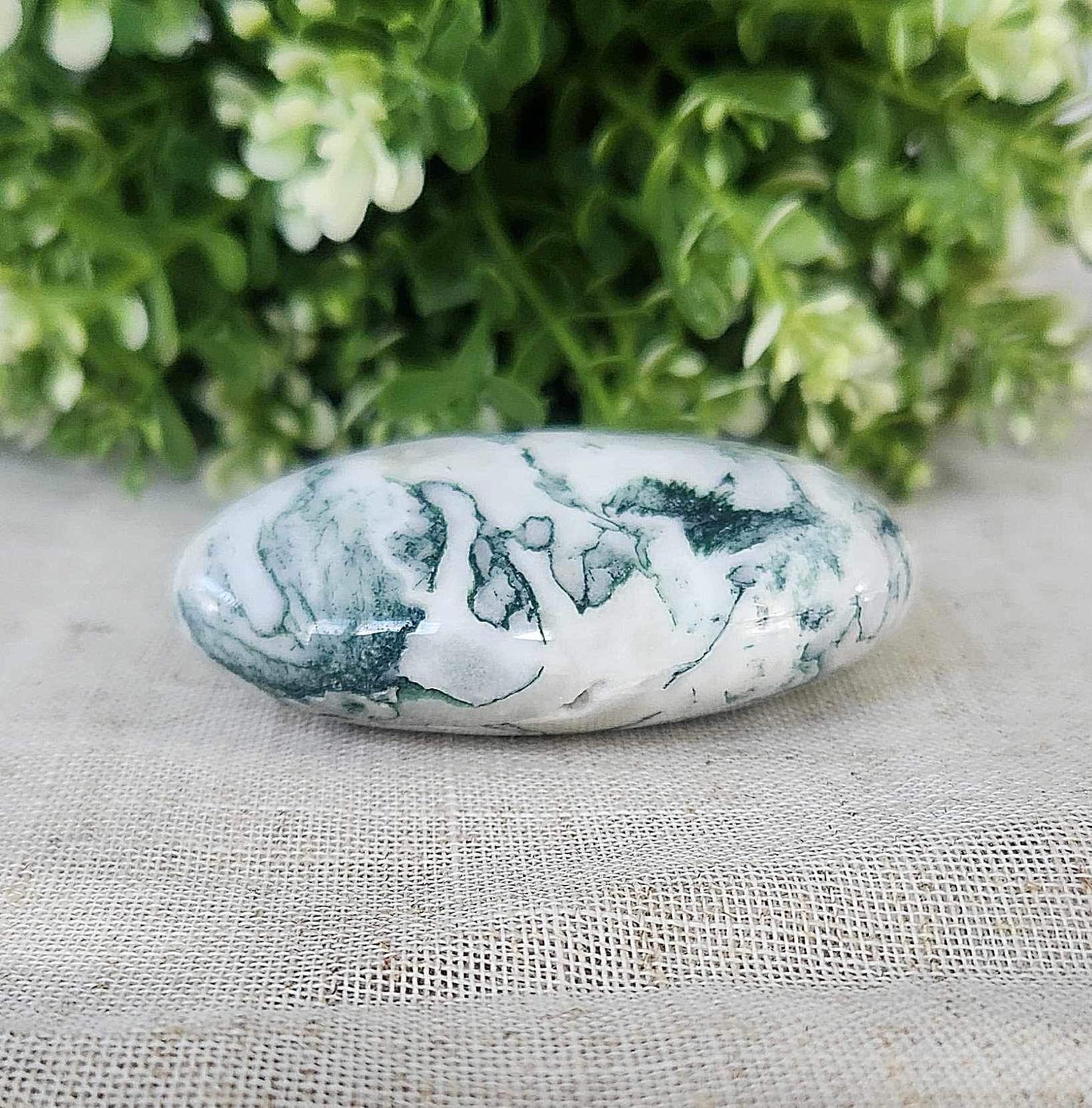 Pierre de paume en Agate Arbre