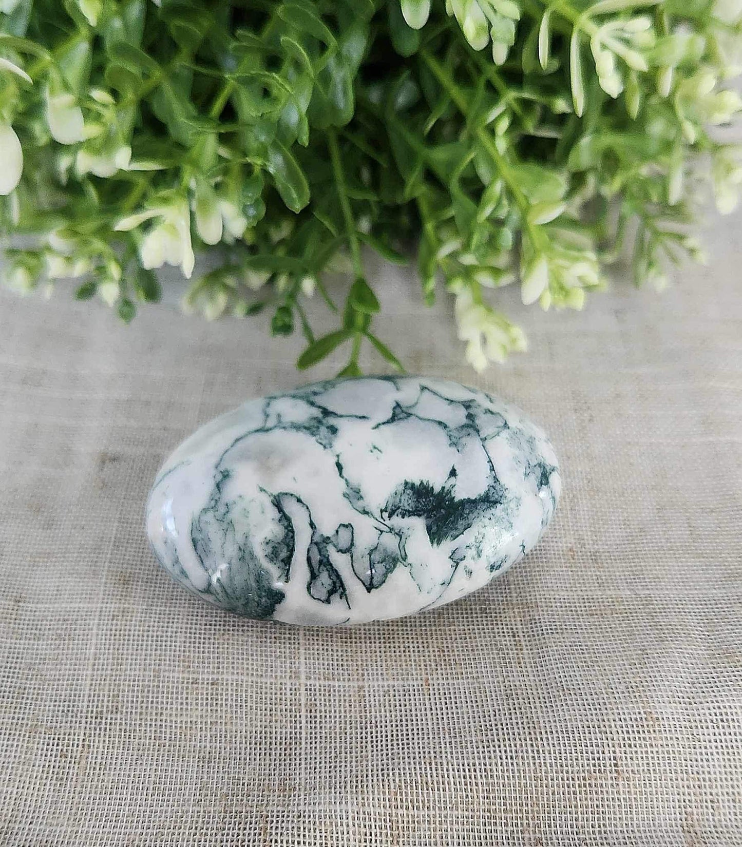 Pierre de paume en Agate Arbre