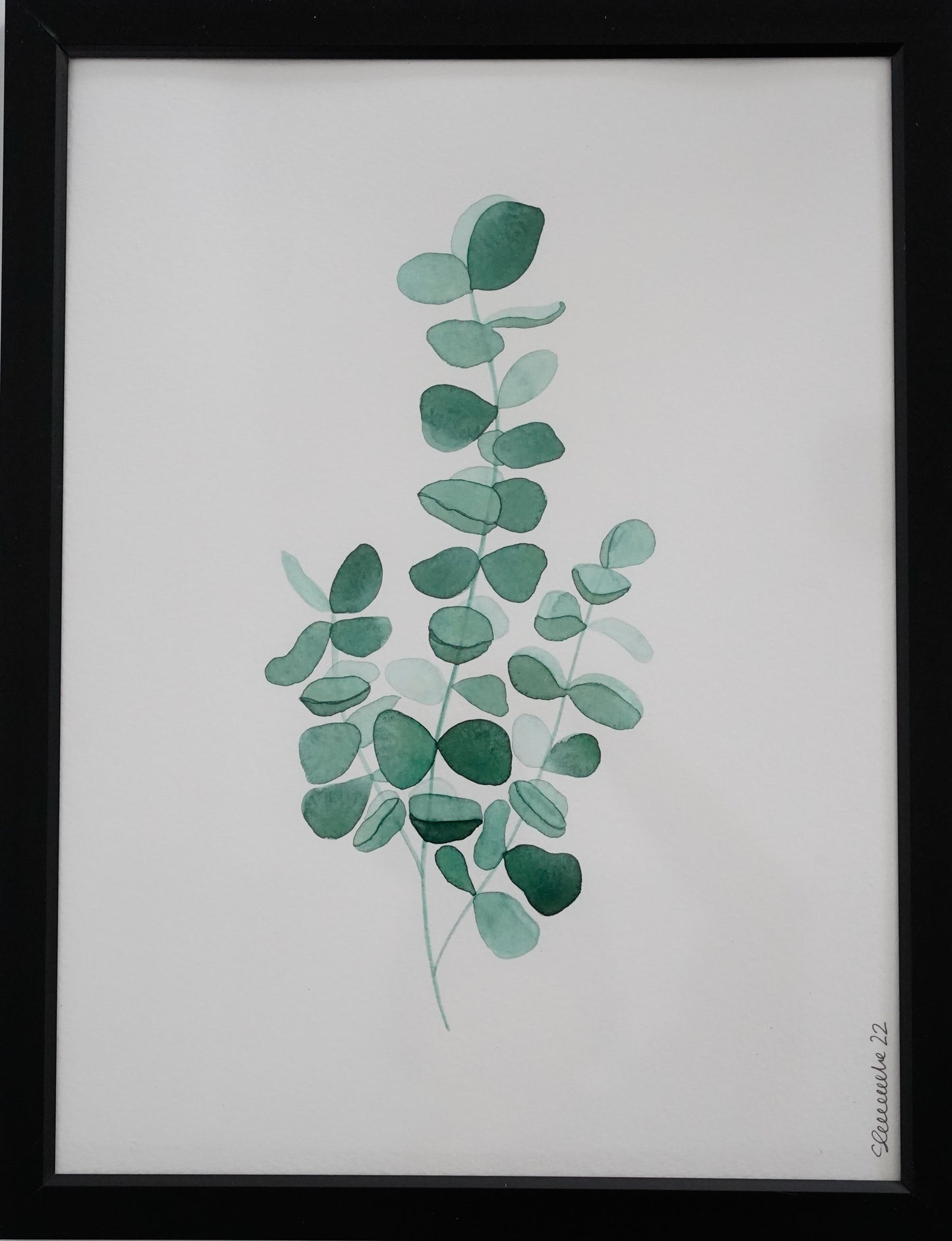 Aquarelle - Eucalyptus