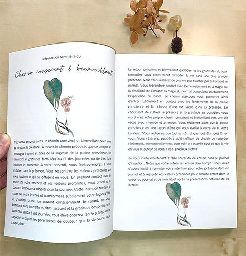 Journal d'intention