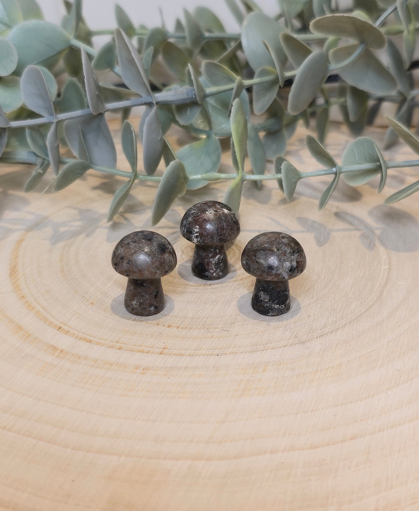 Champignon en Yooperlite