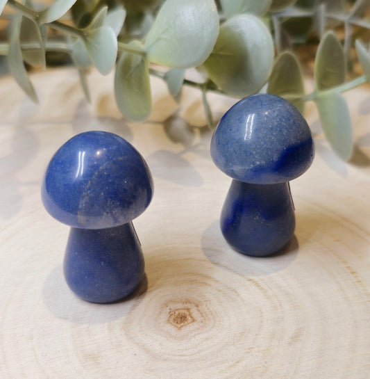 Champignon Aventurine bleue