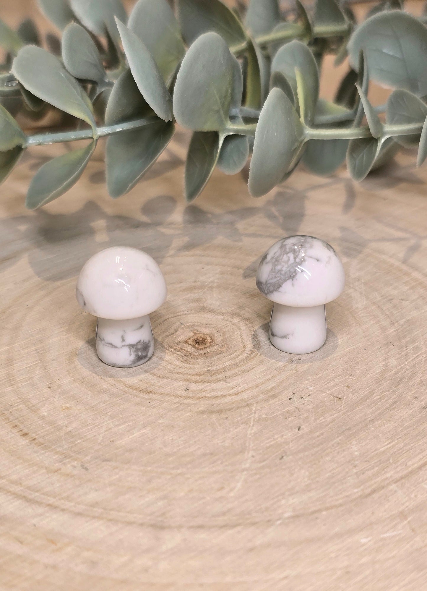 Champignon en Howlite