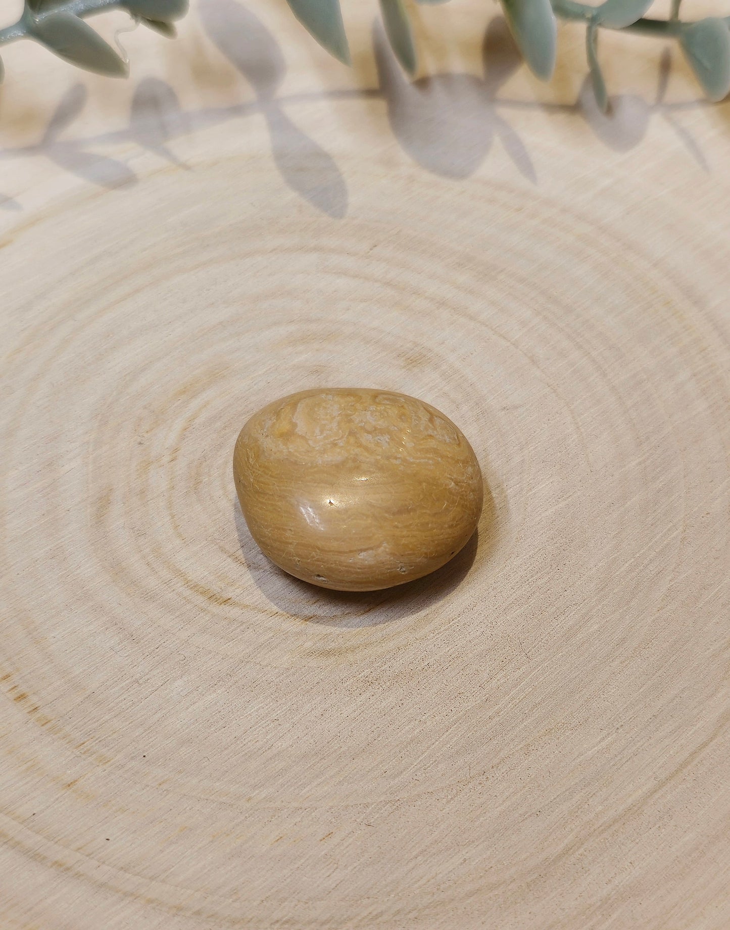 Jaspe noix barattée