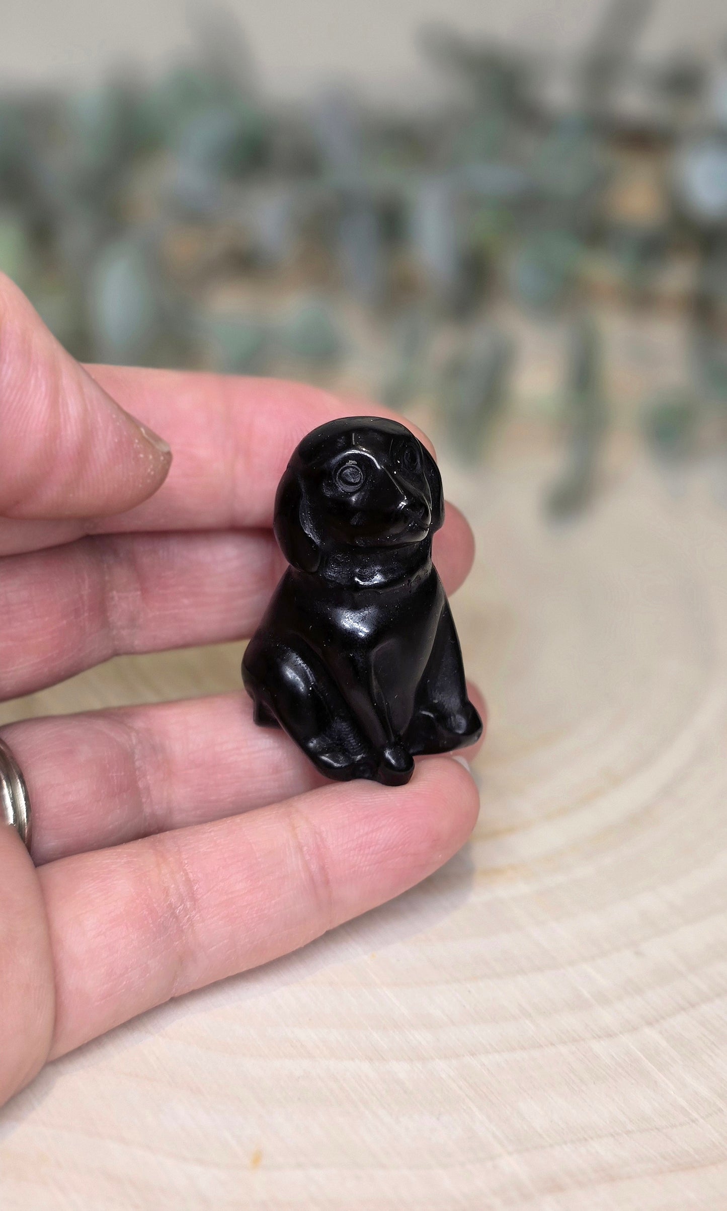 Chien en Obsidienne