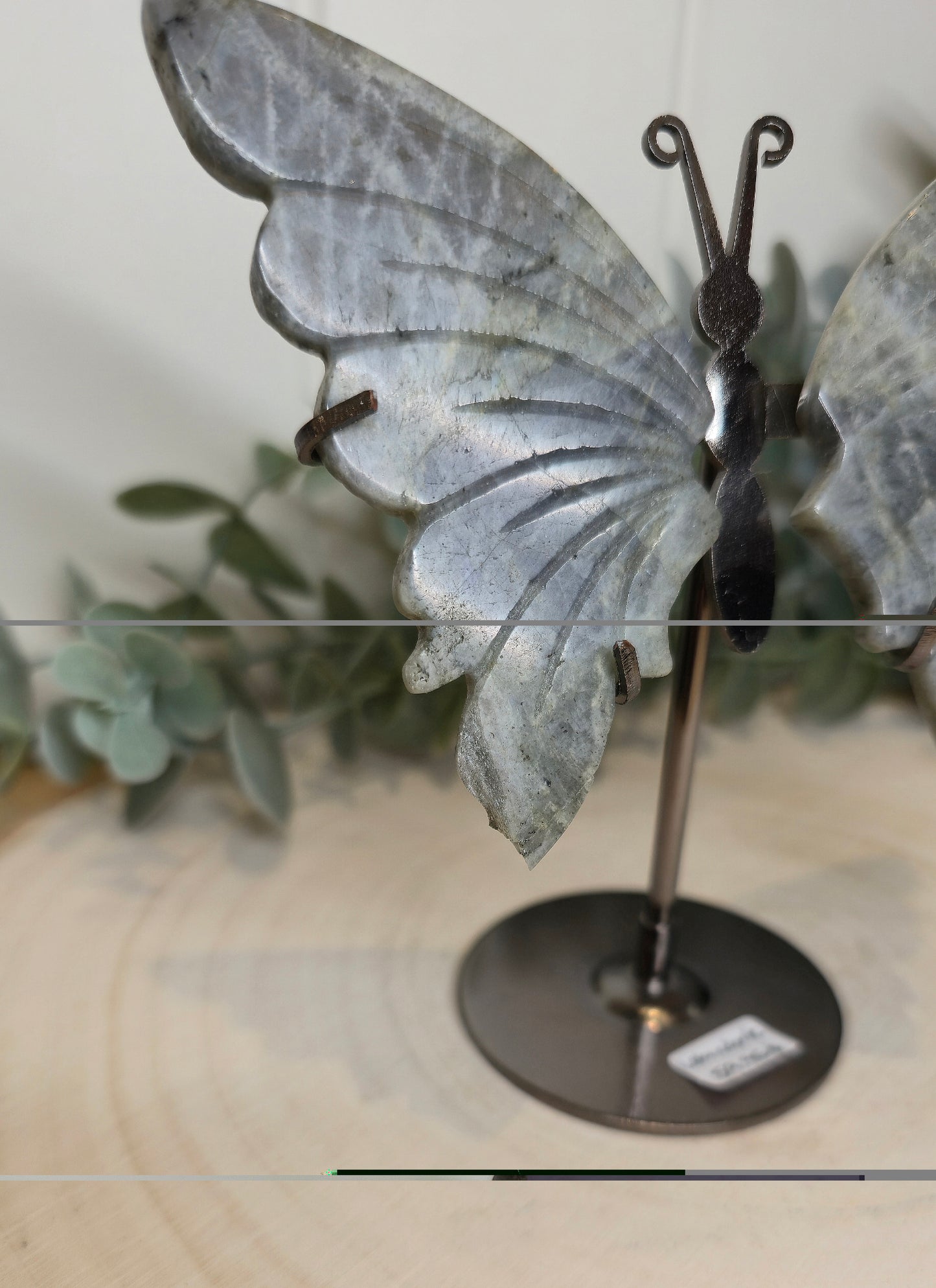 Papillon Labradorite *bris mineur*