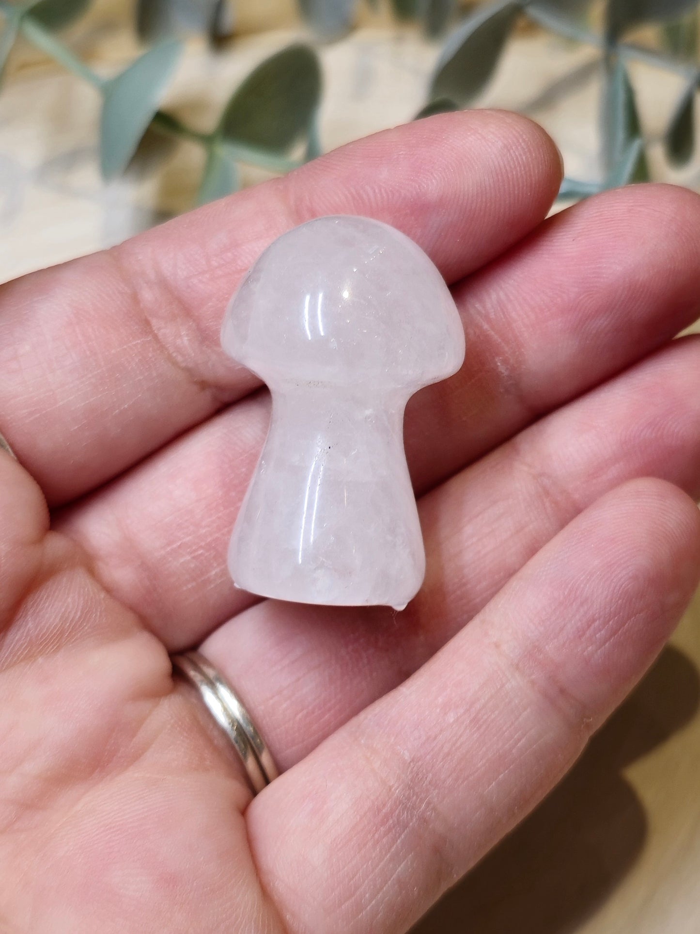 Champignon Quartz clair