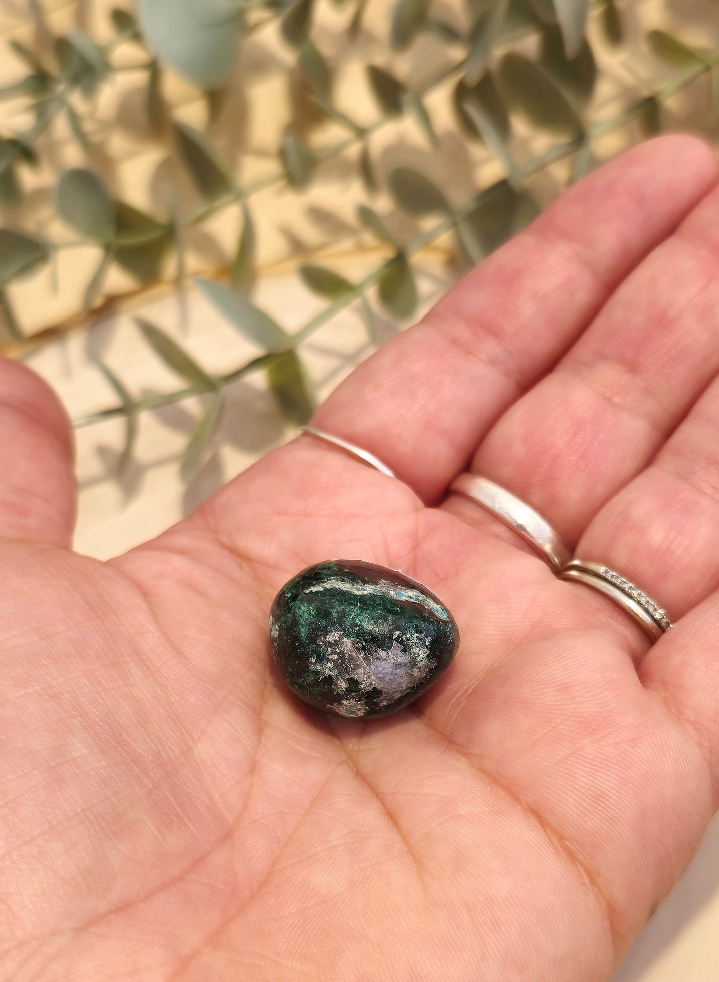 Quantum Quattro barattée