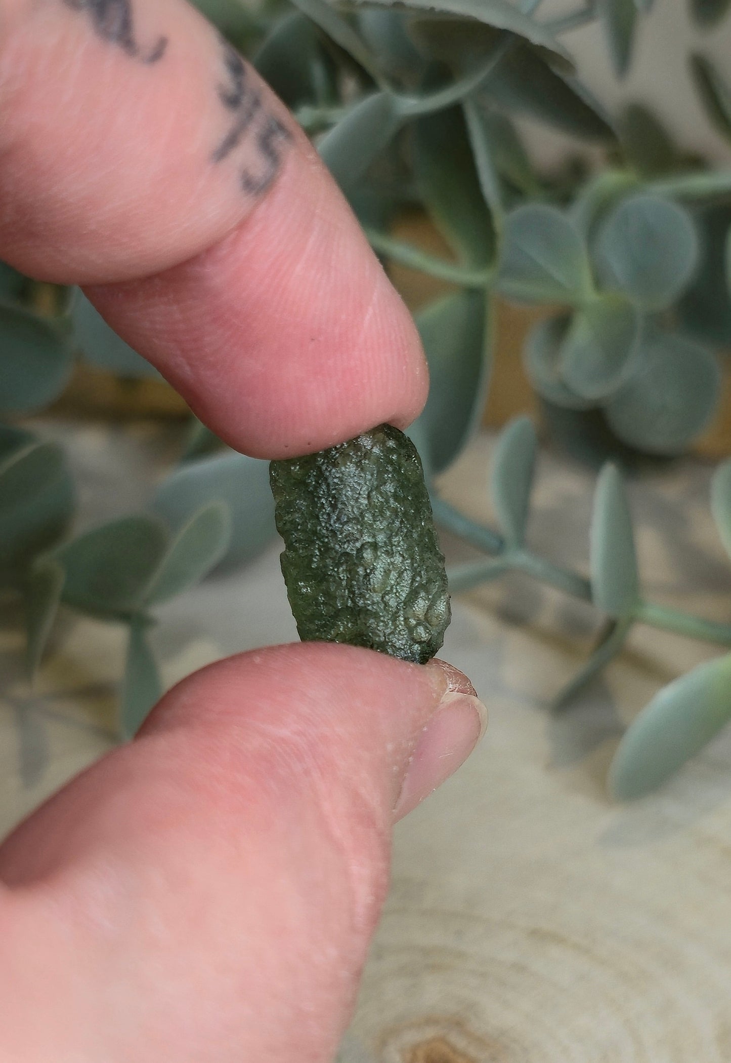 Moldavite brute