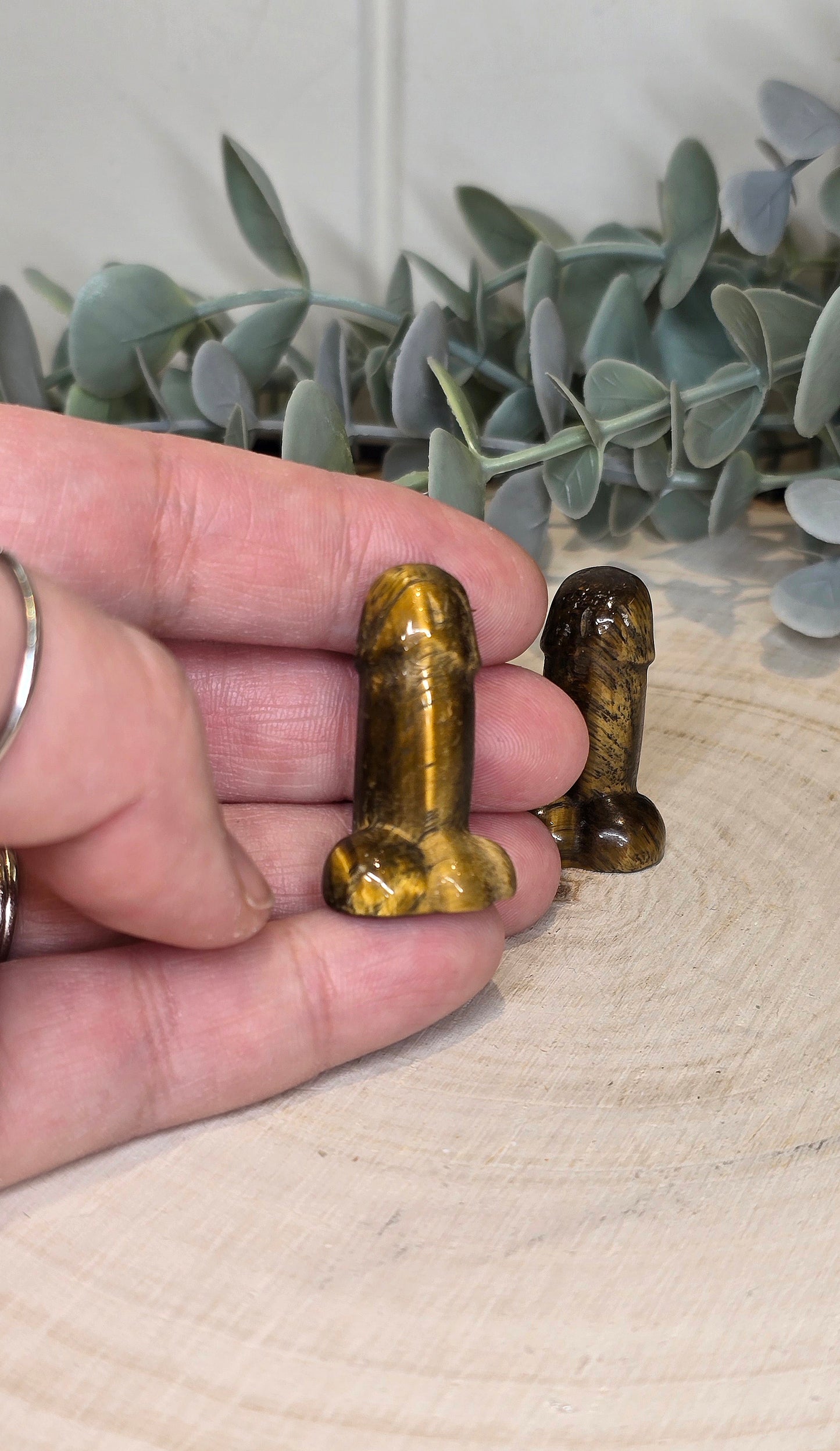 Pénis en Oeil de tigre