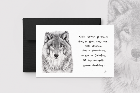 Carte de souhaits - Le Loup et La pleine conscience