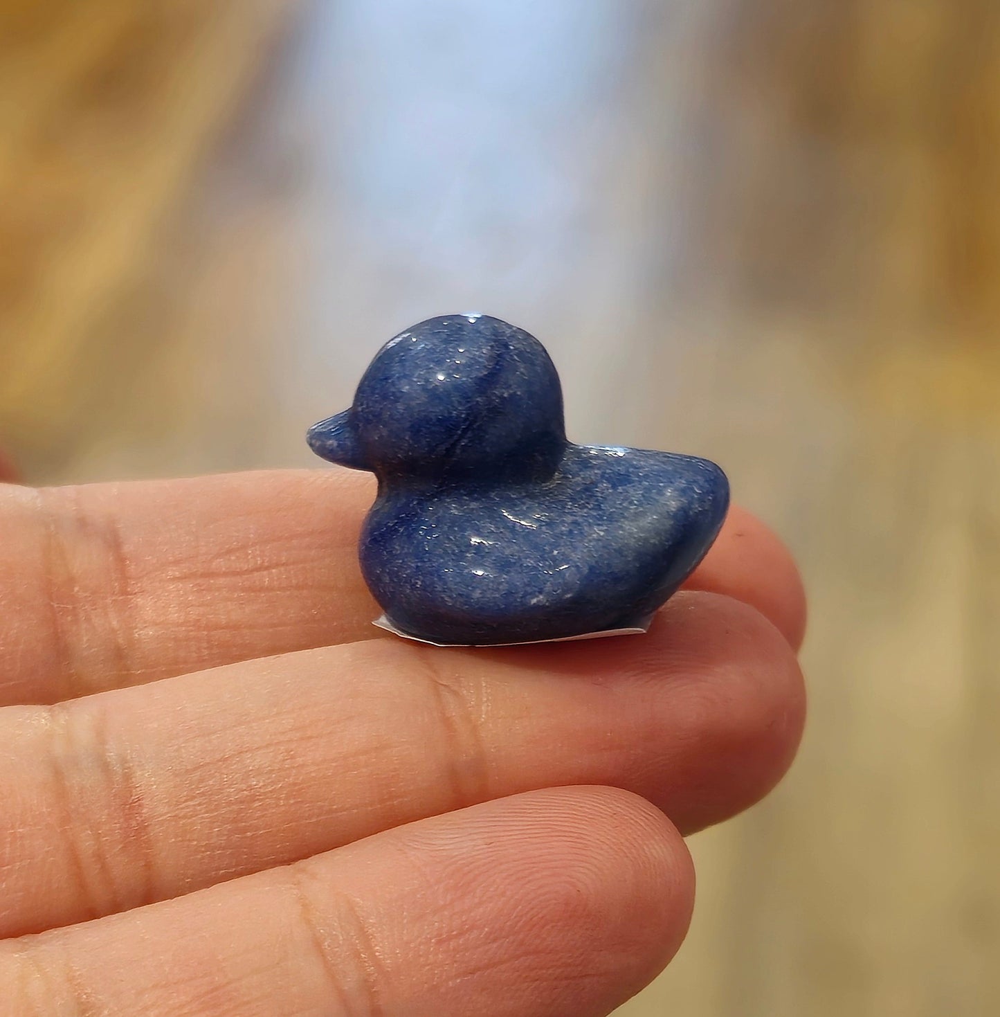 Canard Aventurine bleue