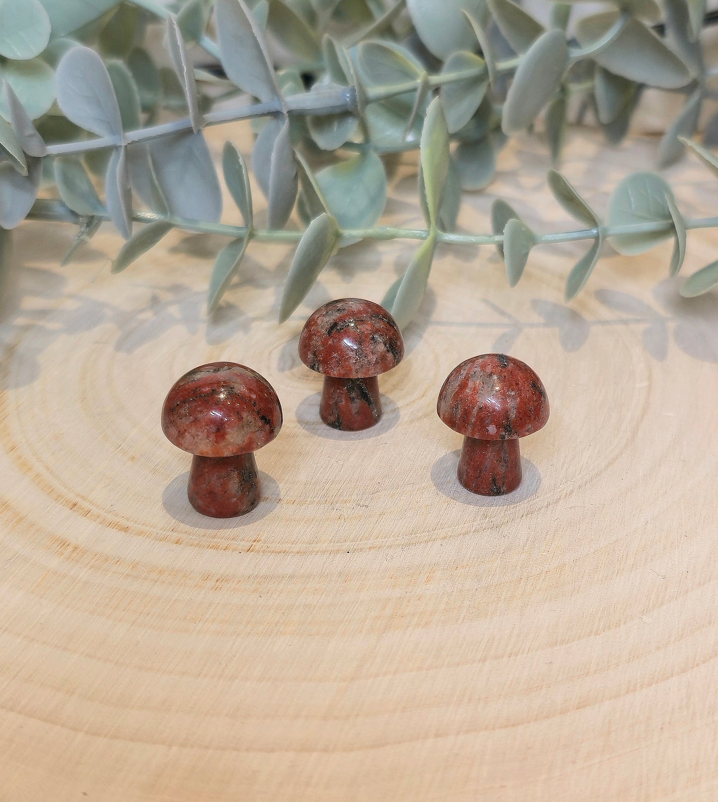 Champignon en Jaspe sésame rouge
