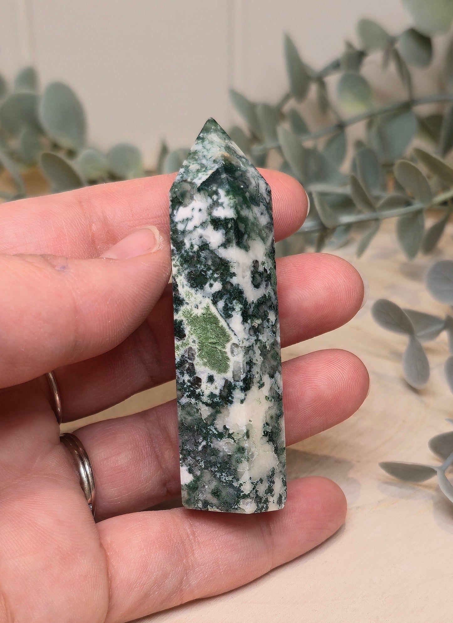 Pointe en Agate arbre