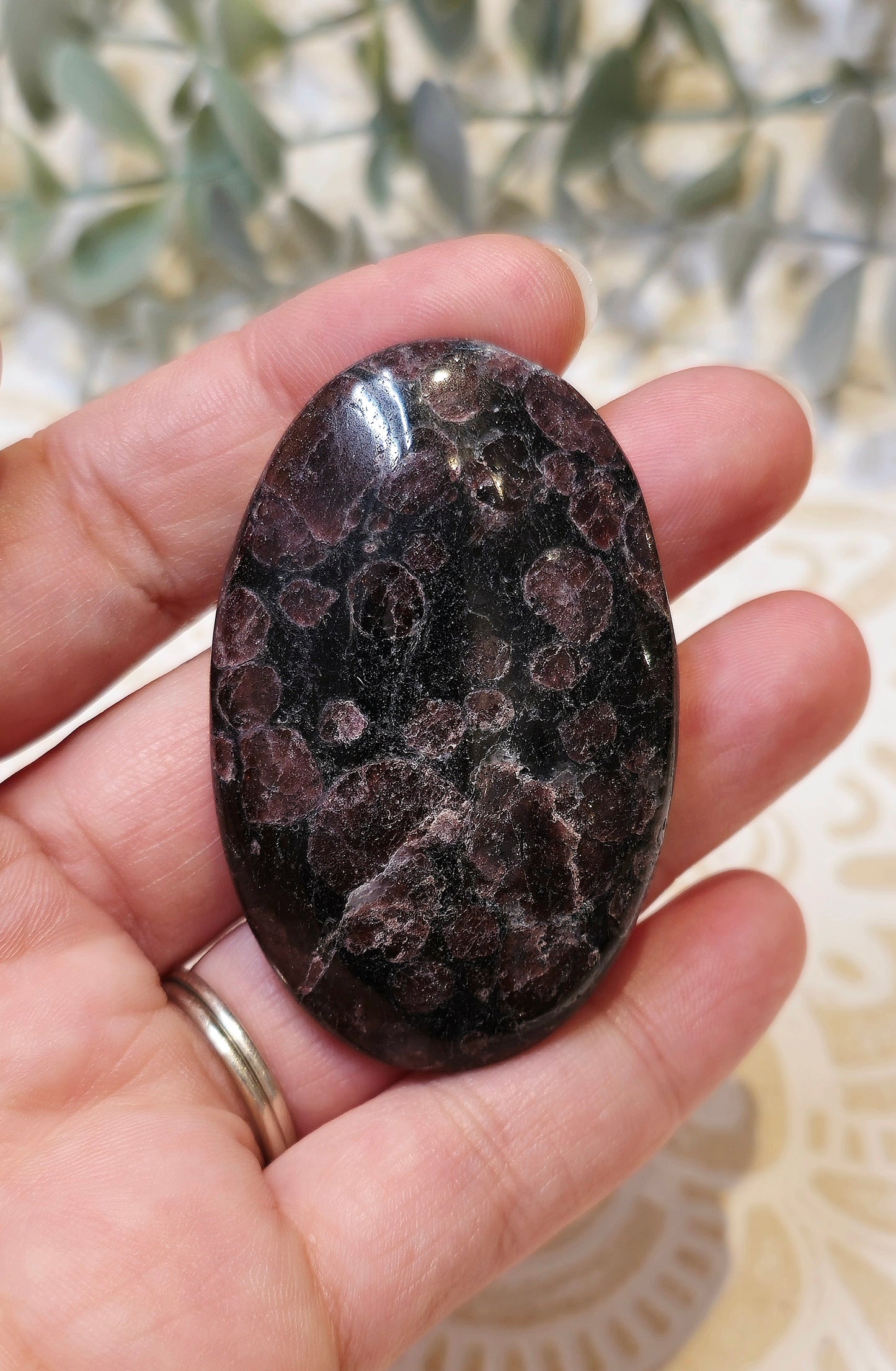 Pierre de paume en Grenat dans Astrophyllite