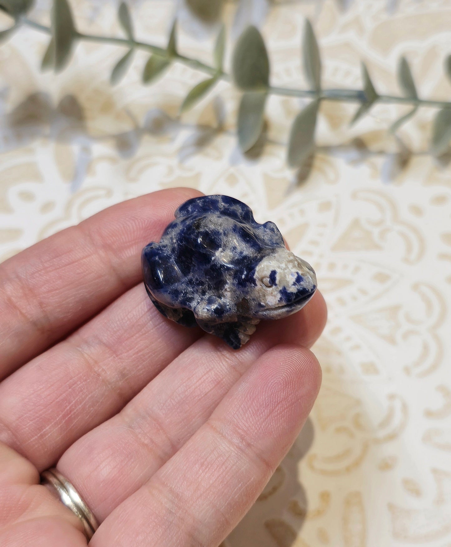 Grenouille Sodalite