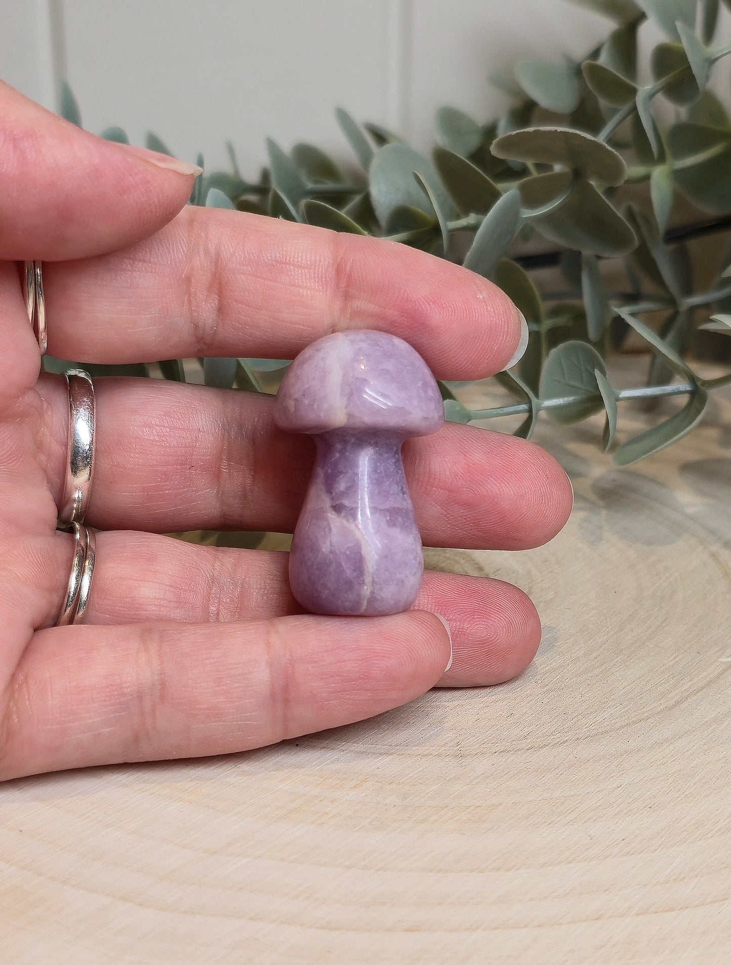 Champignon Lépidolite