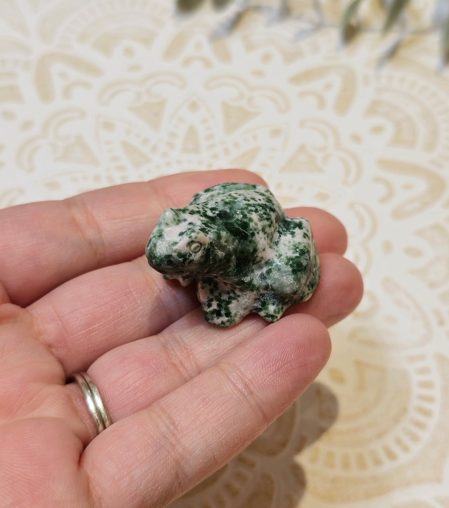 Grenouille Jaspe green dots