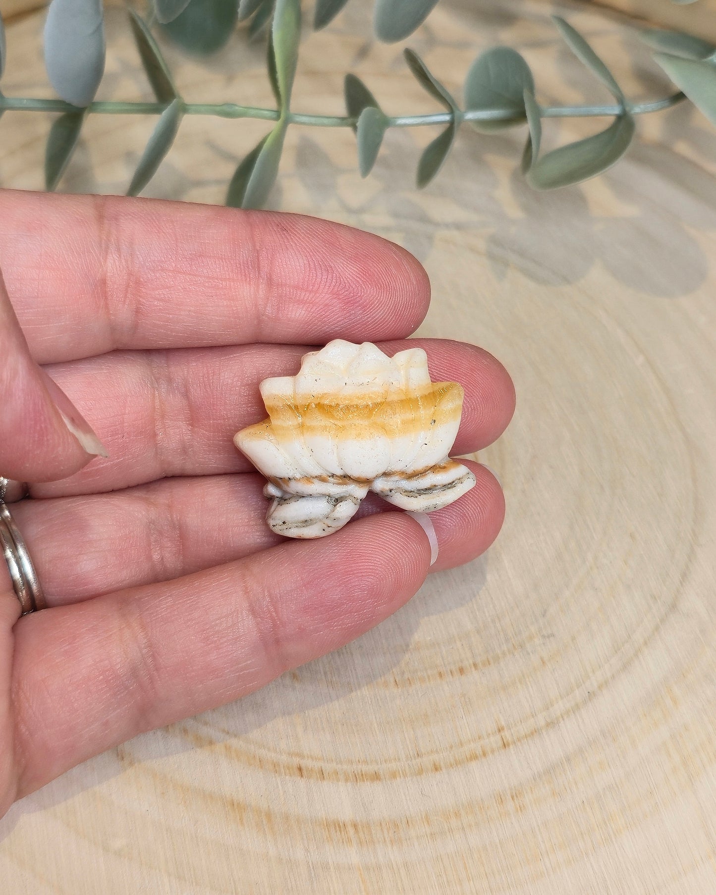 Lotus en Calcite zébré