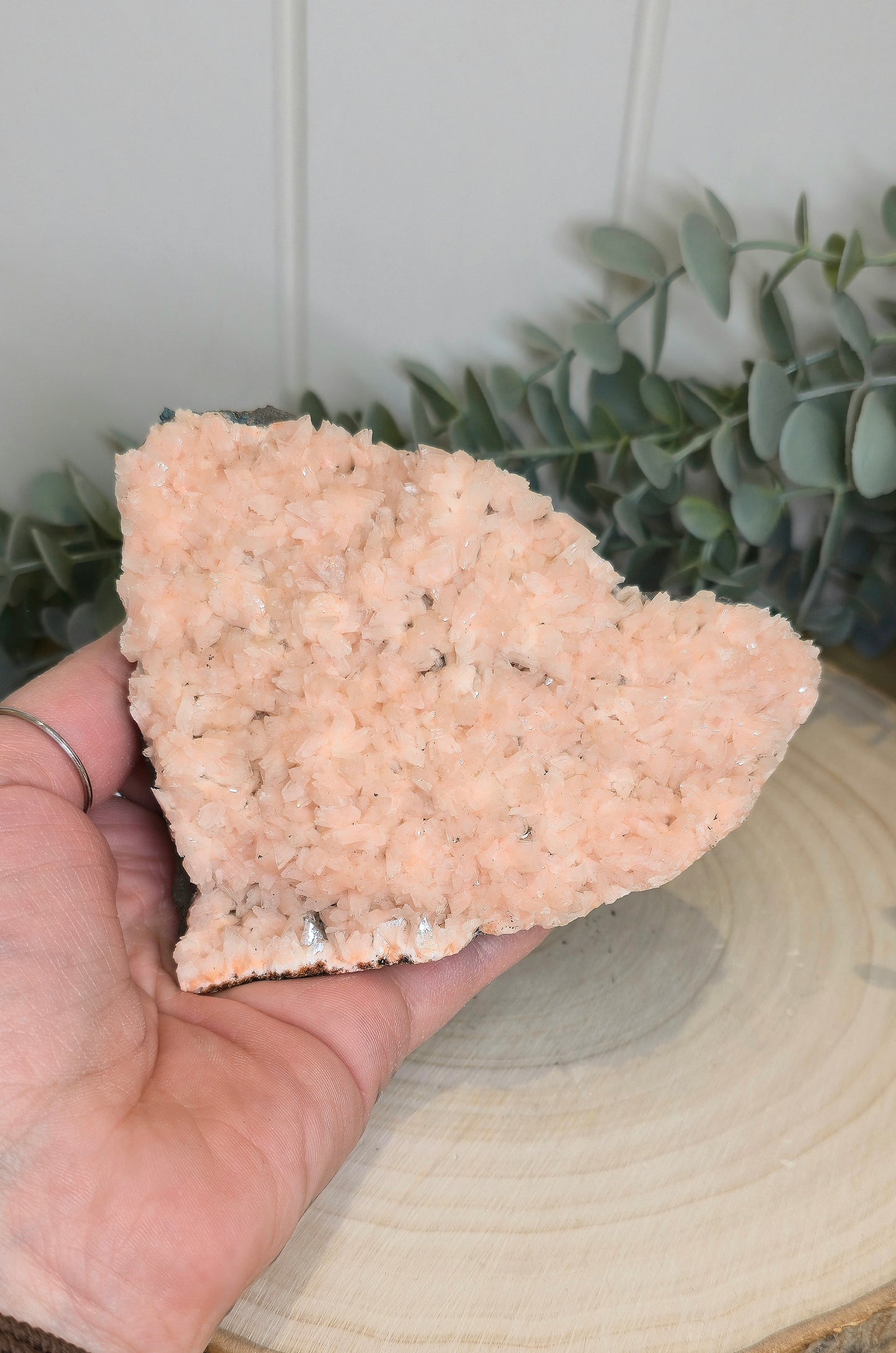 Stilbite brute d'Inde