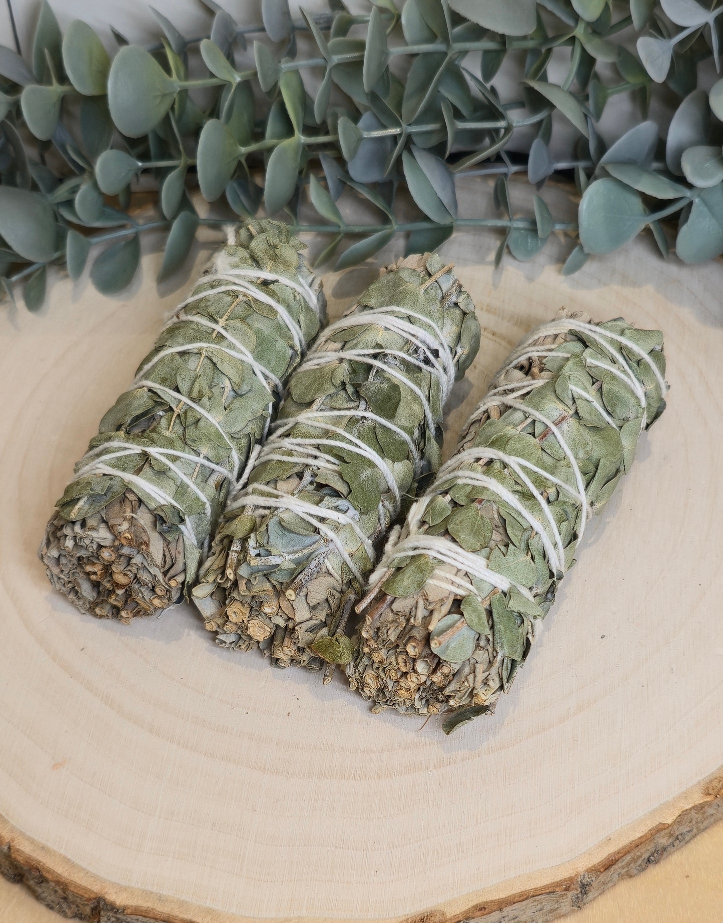 Sauge blanche et Eucalyptus 4"