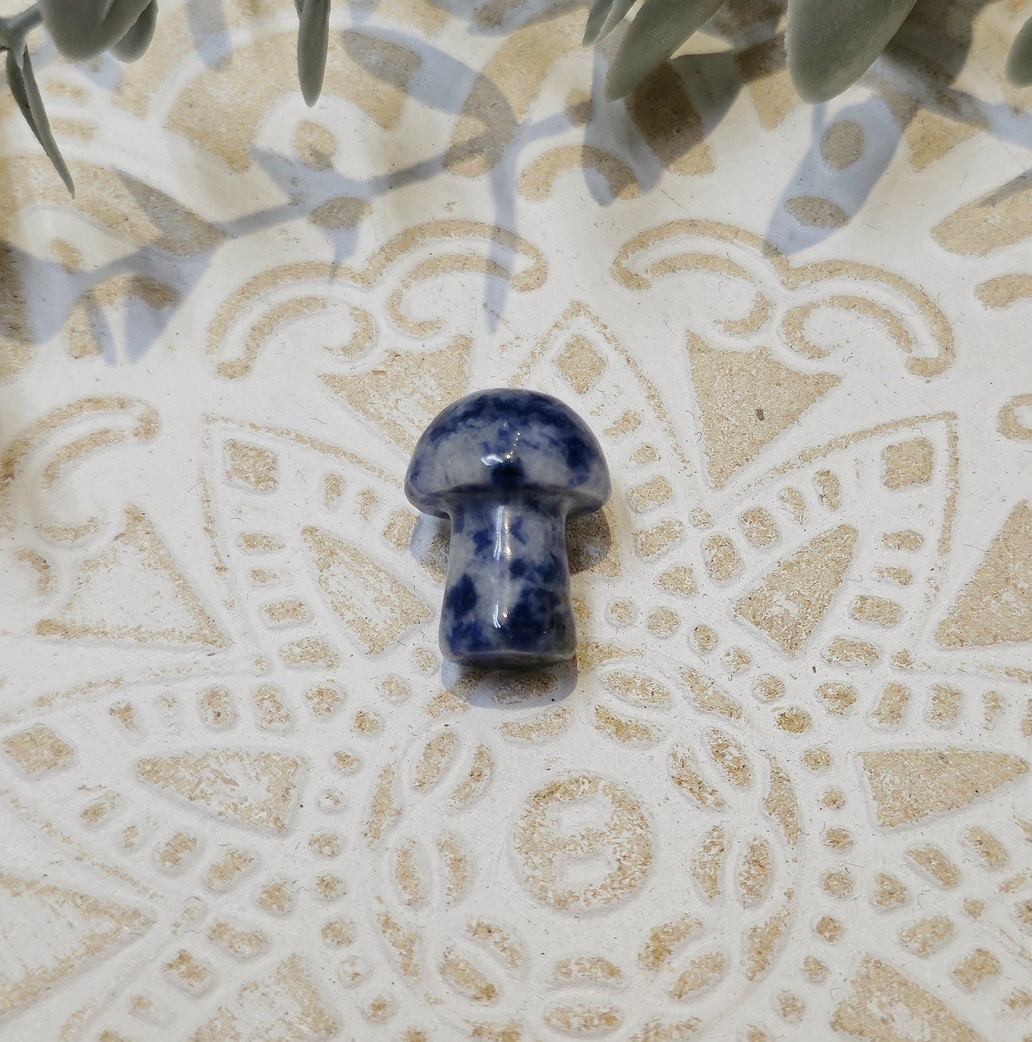 Champignon en Jaspe blue spot