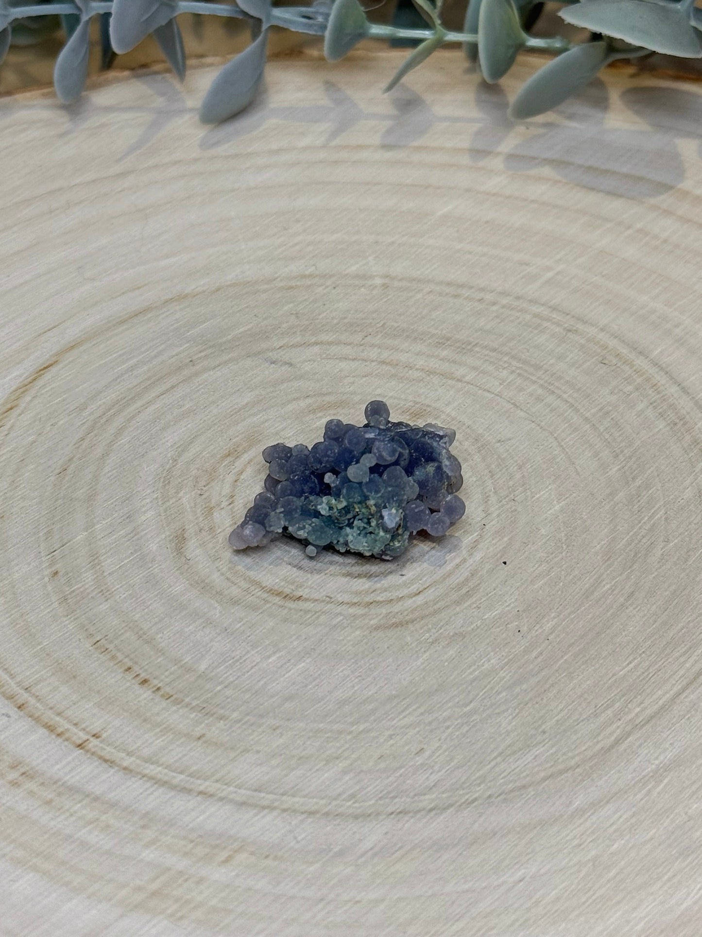 Agate raisin brute