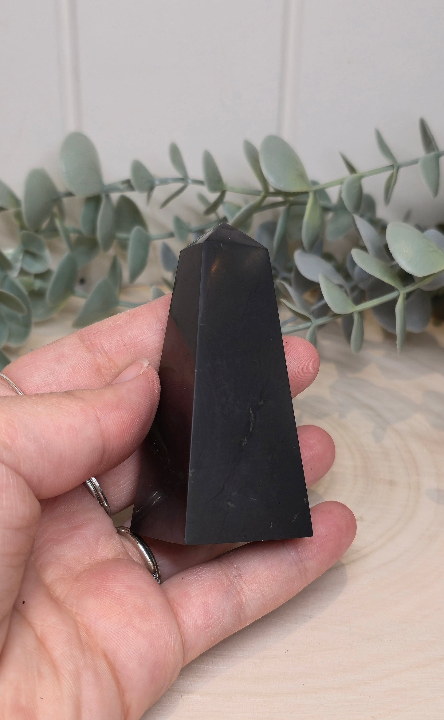 Pointe en Shungite