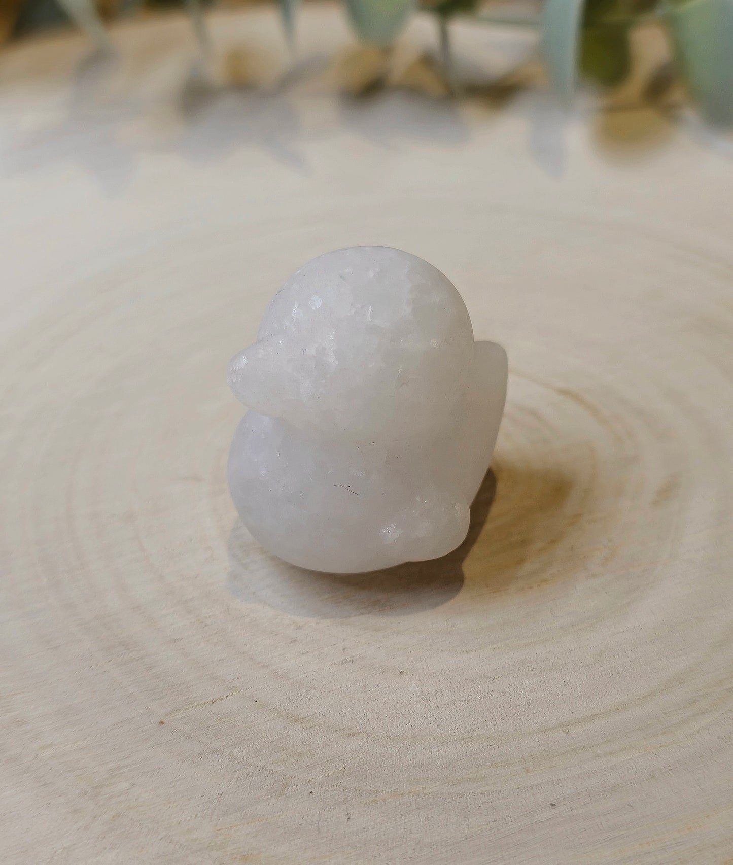 Canard Jade blanc