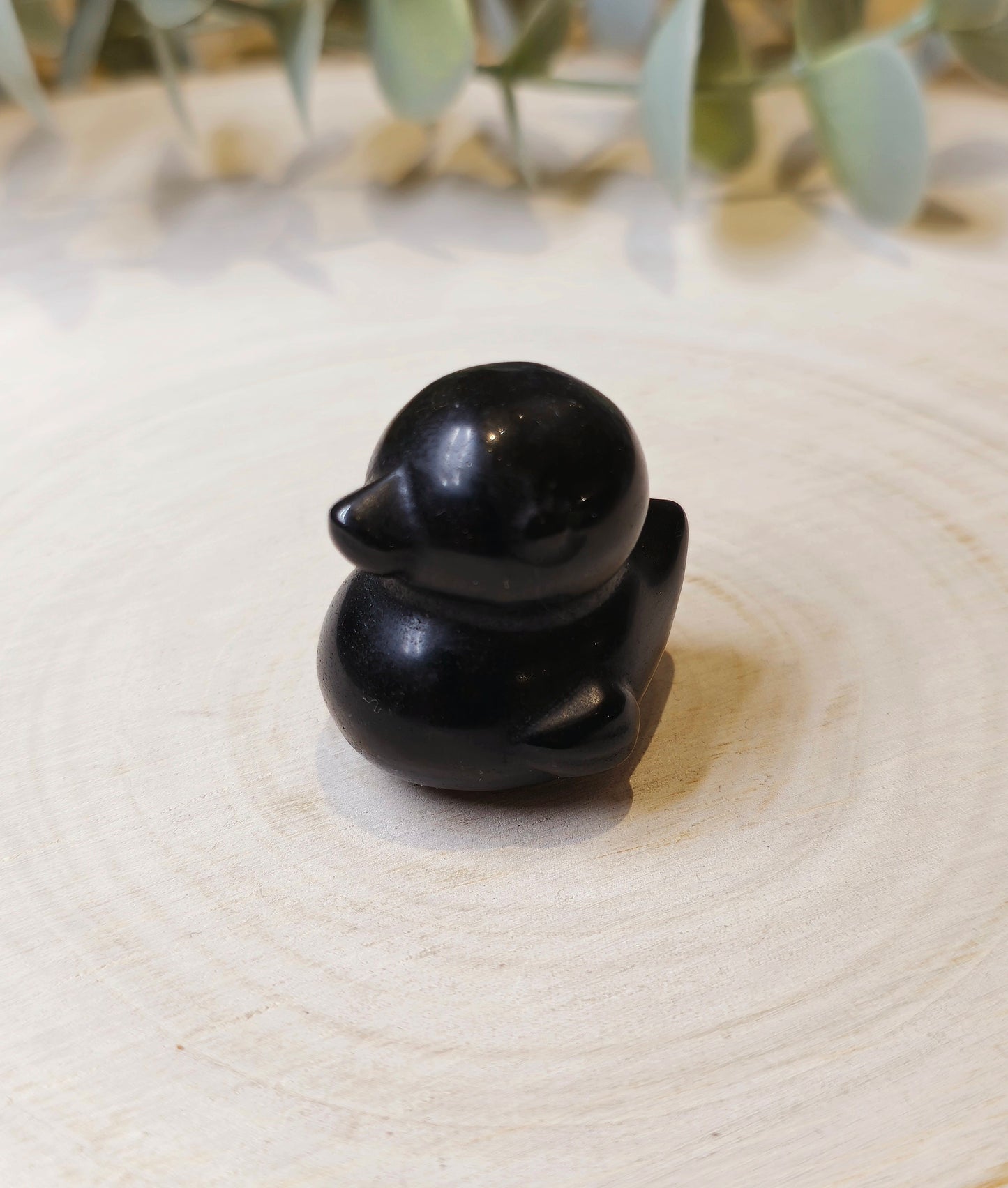 Canard Obsidienne