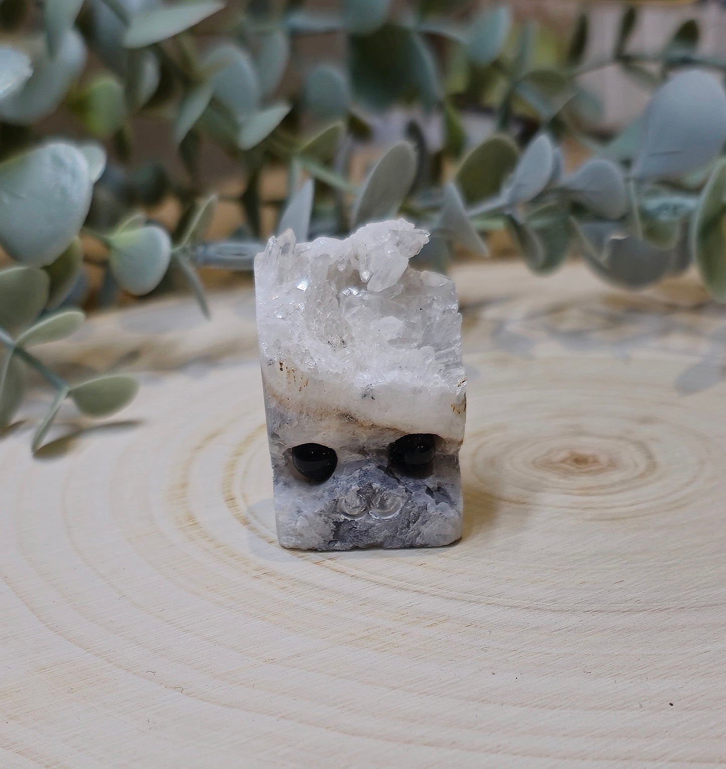 Buddy en Quartz clair