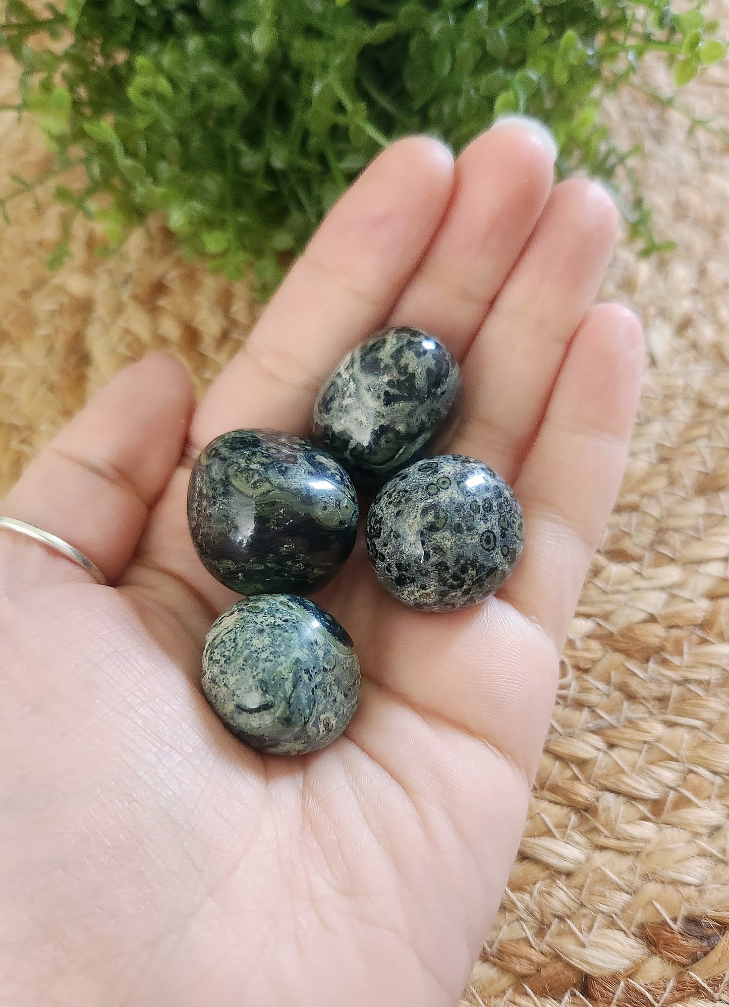 Jaspe Kambaba barattée