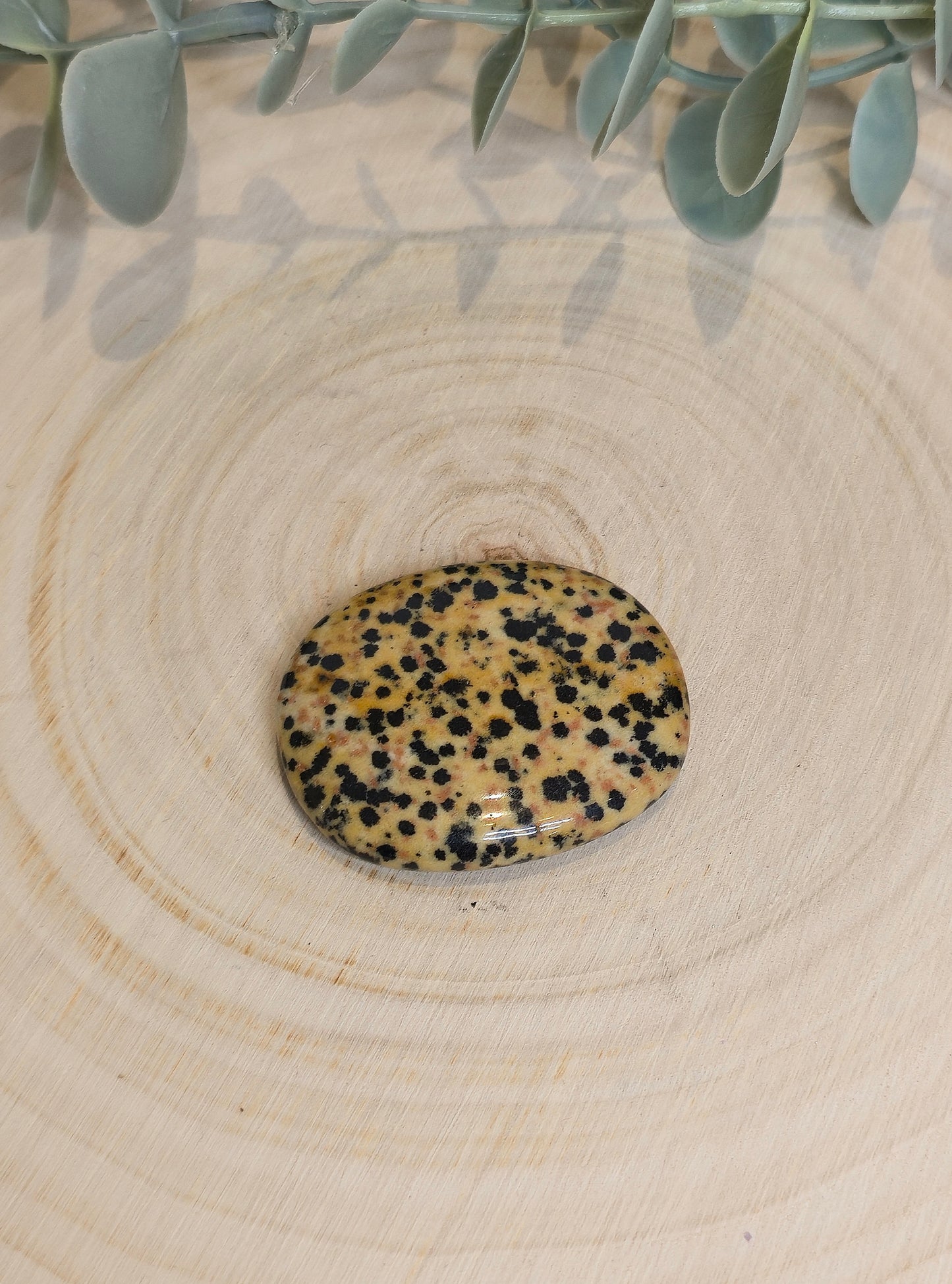 Pierre de paume mince Jaspe Dalmatien