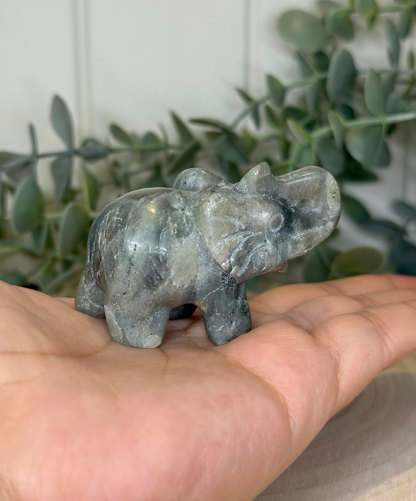 Éléphant Labradorite