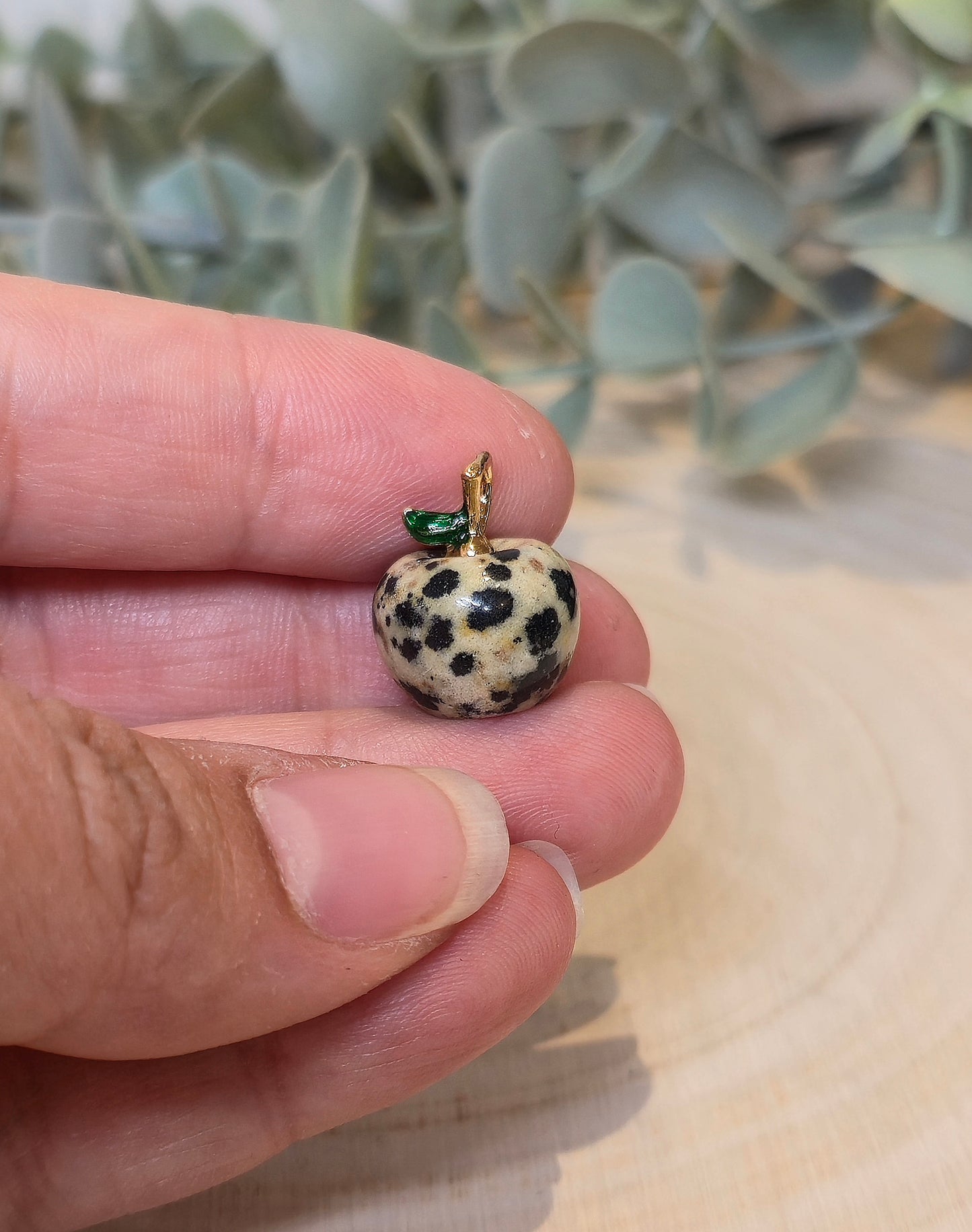 Mini Pomme Jaspe Dalmatien