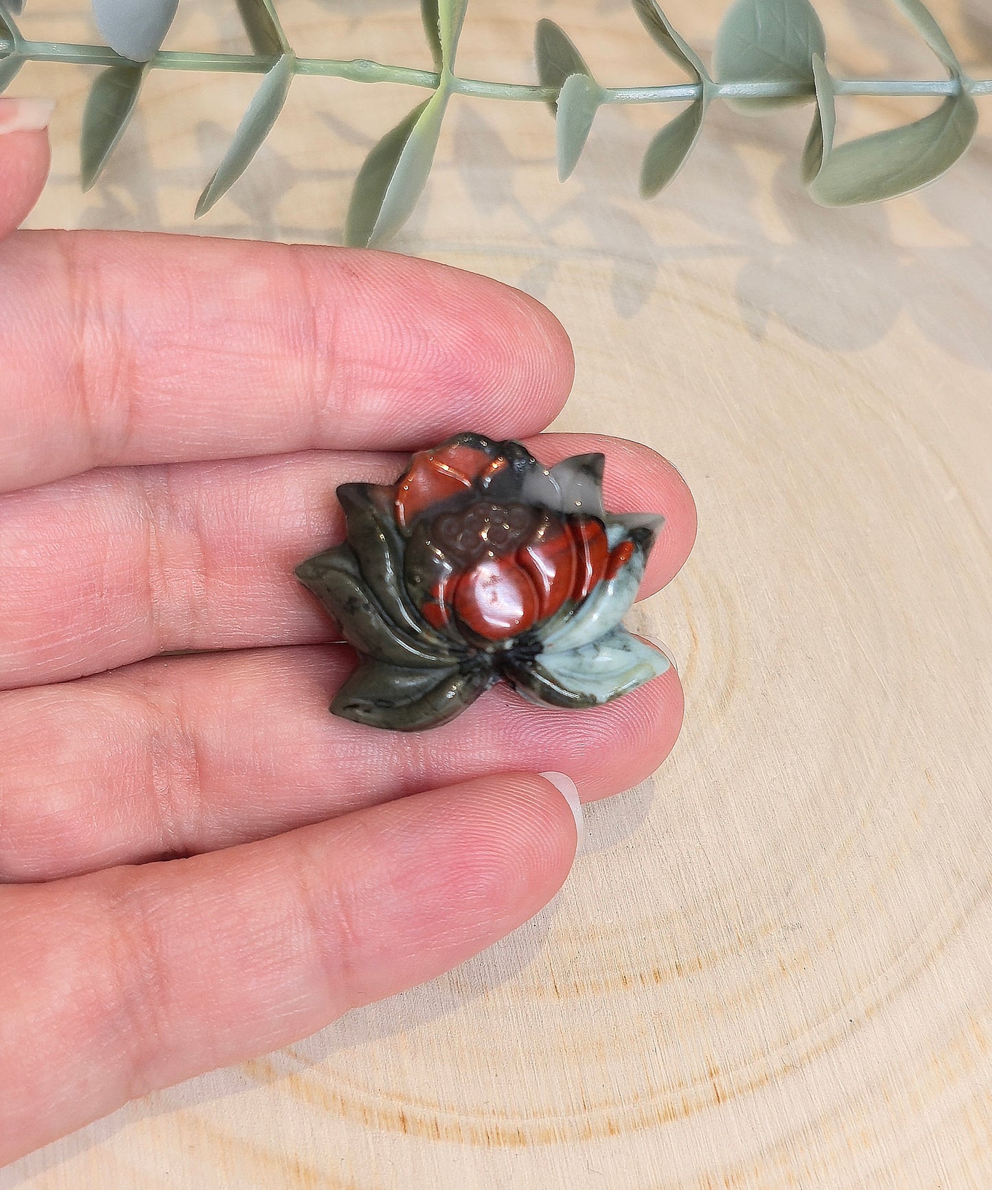 Lotus en Sang africain