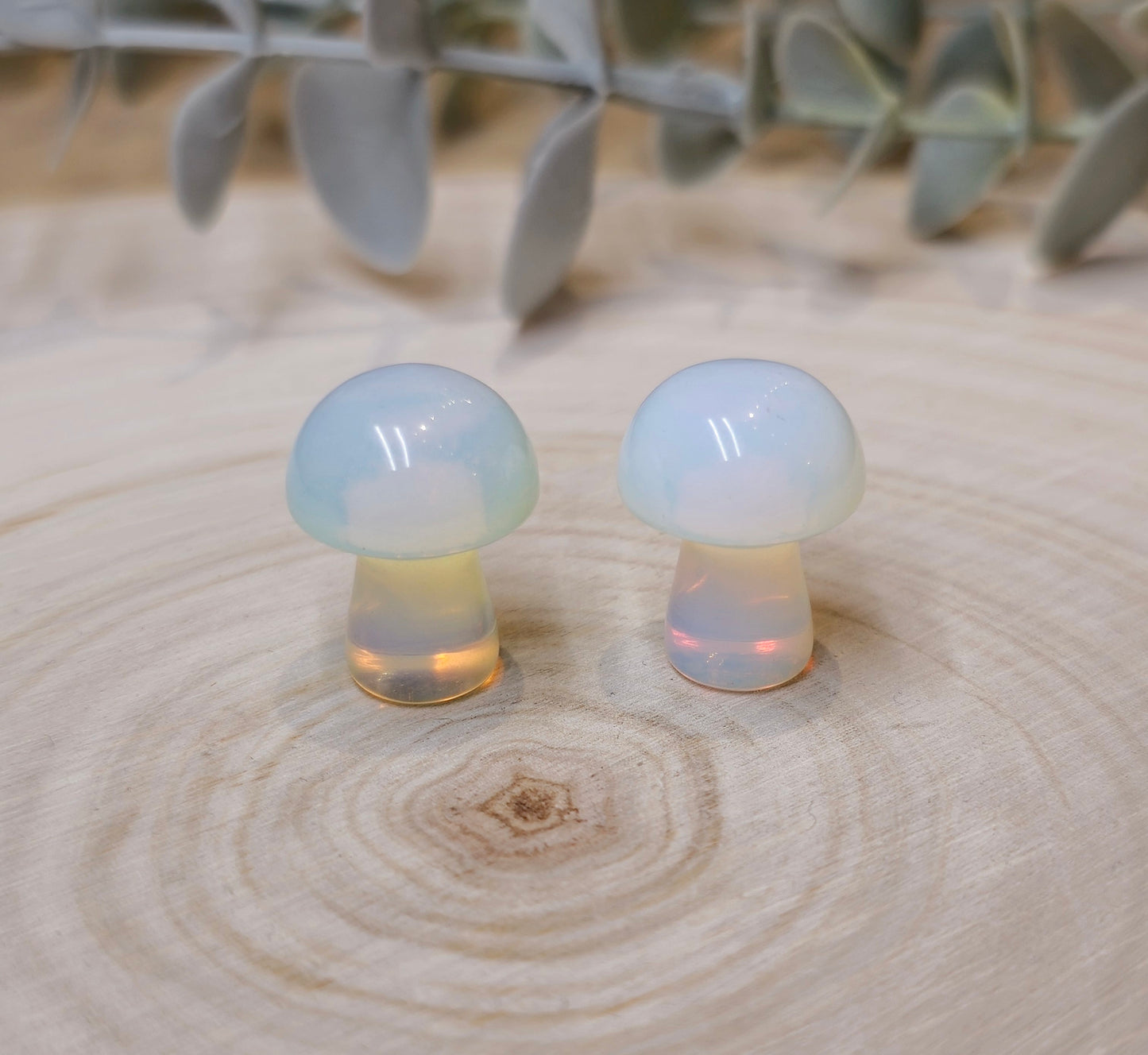 Champignon en Opalite (manmade)