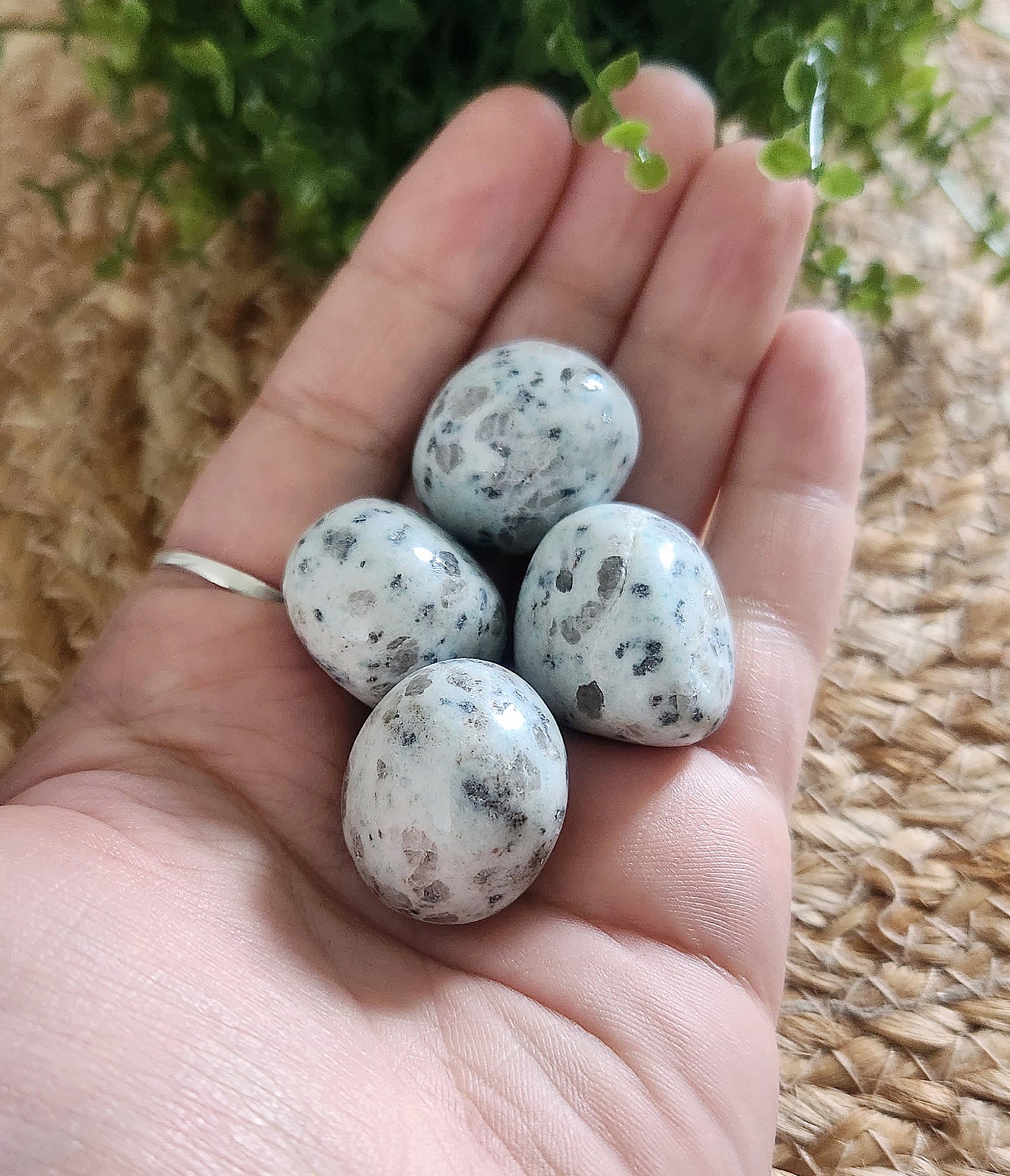 Jaspe kiwi barattée