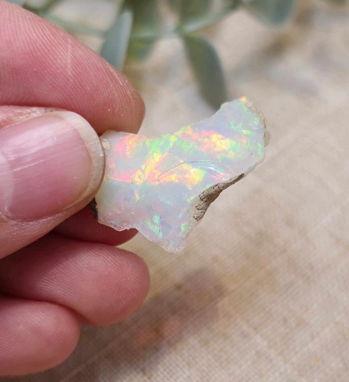 Opale d’Éthiopie brute