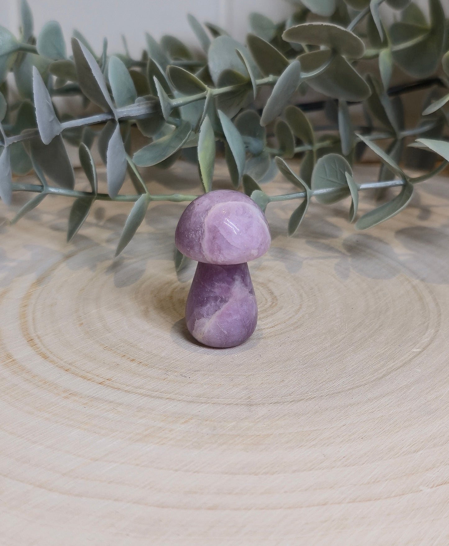 Champignon Lépidolite