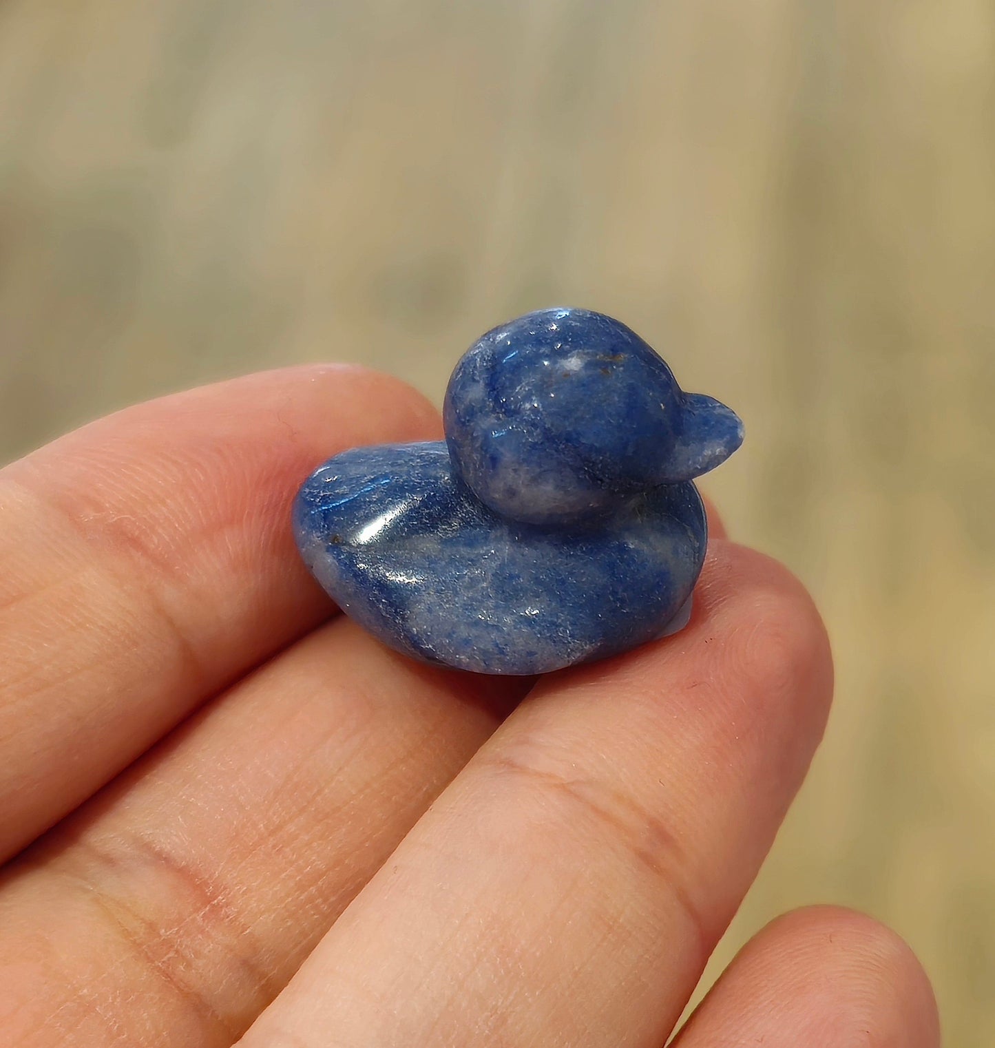 Canard Aventurine bleue