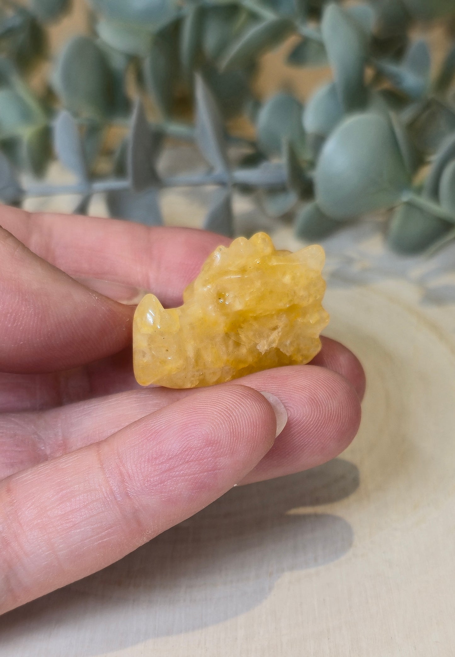 Dragon Golden Healer