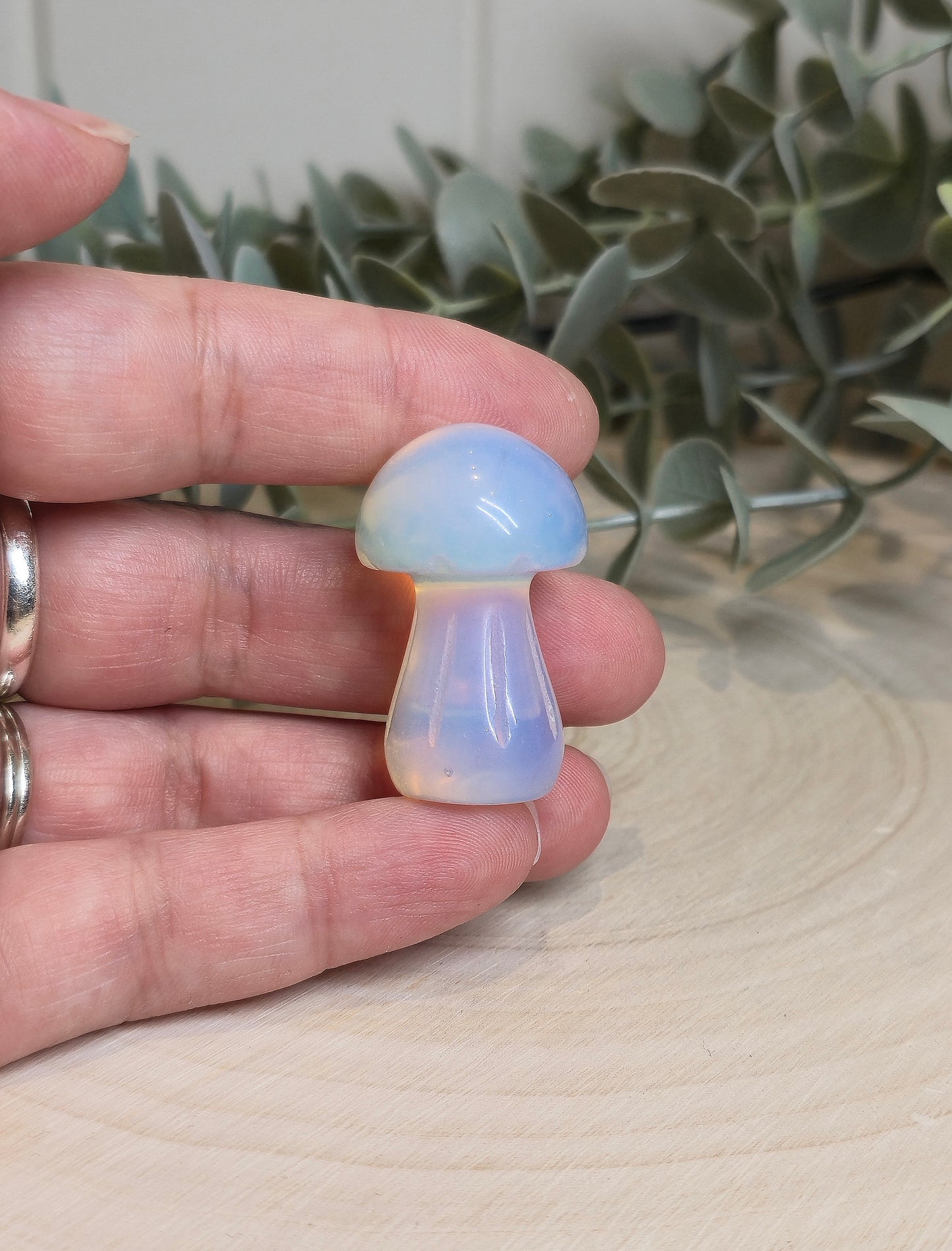 Champignon Opalite