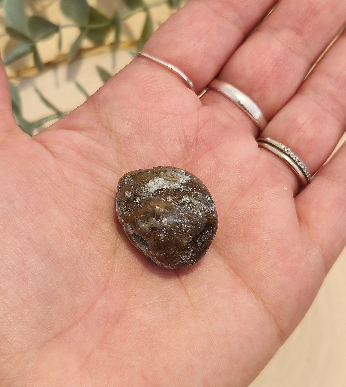 Quantum Quattro barattée