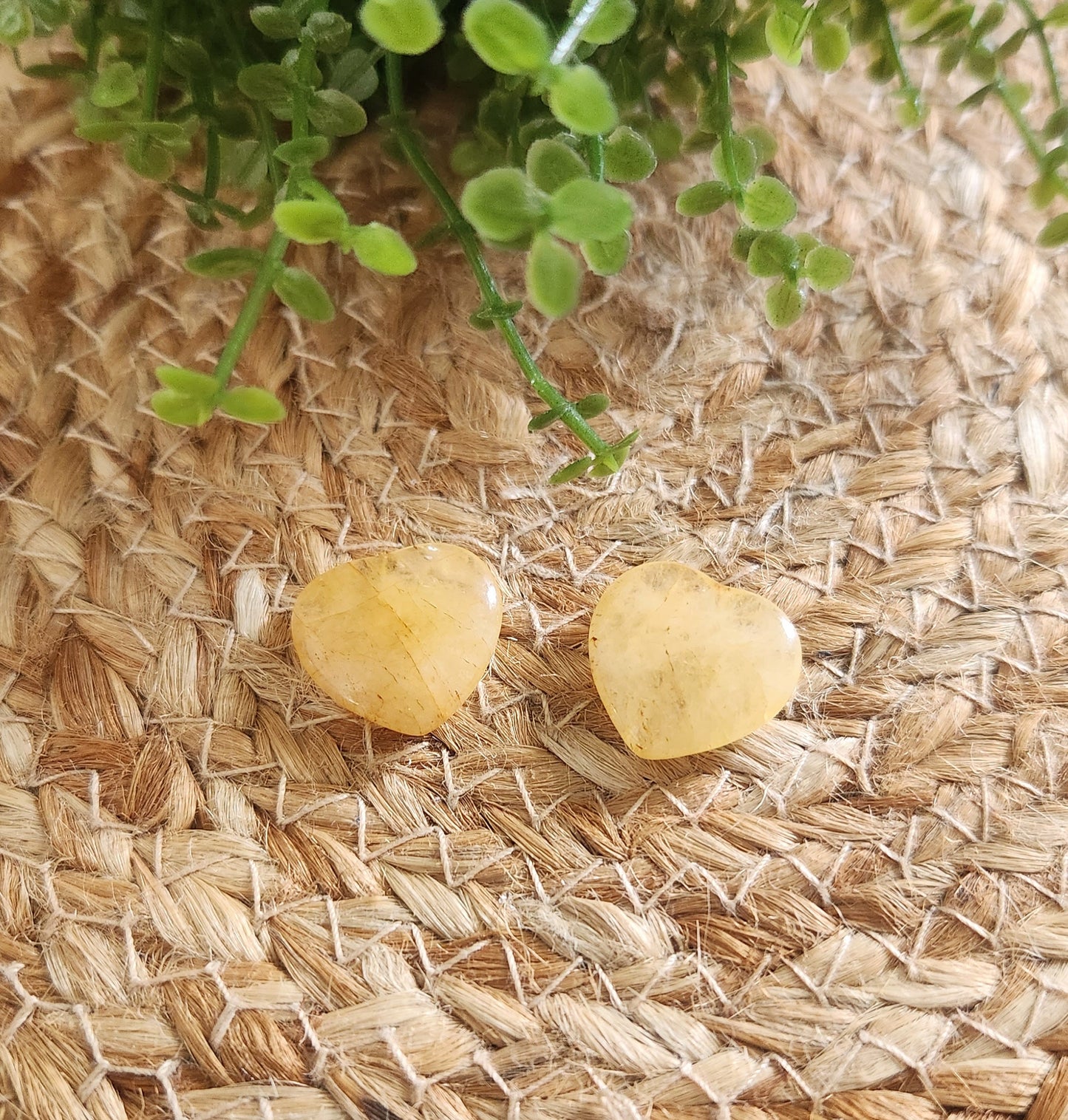 Coeur en Golden healer