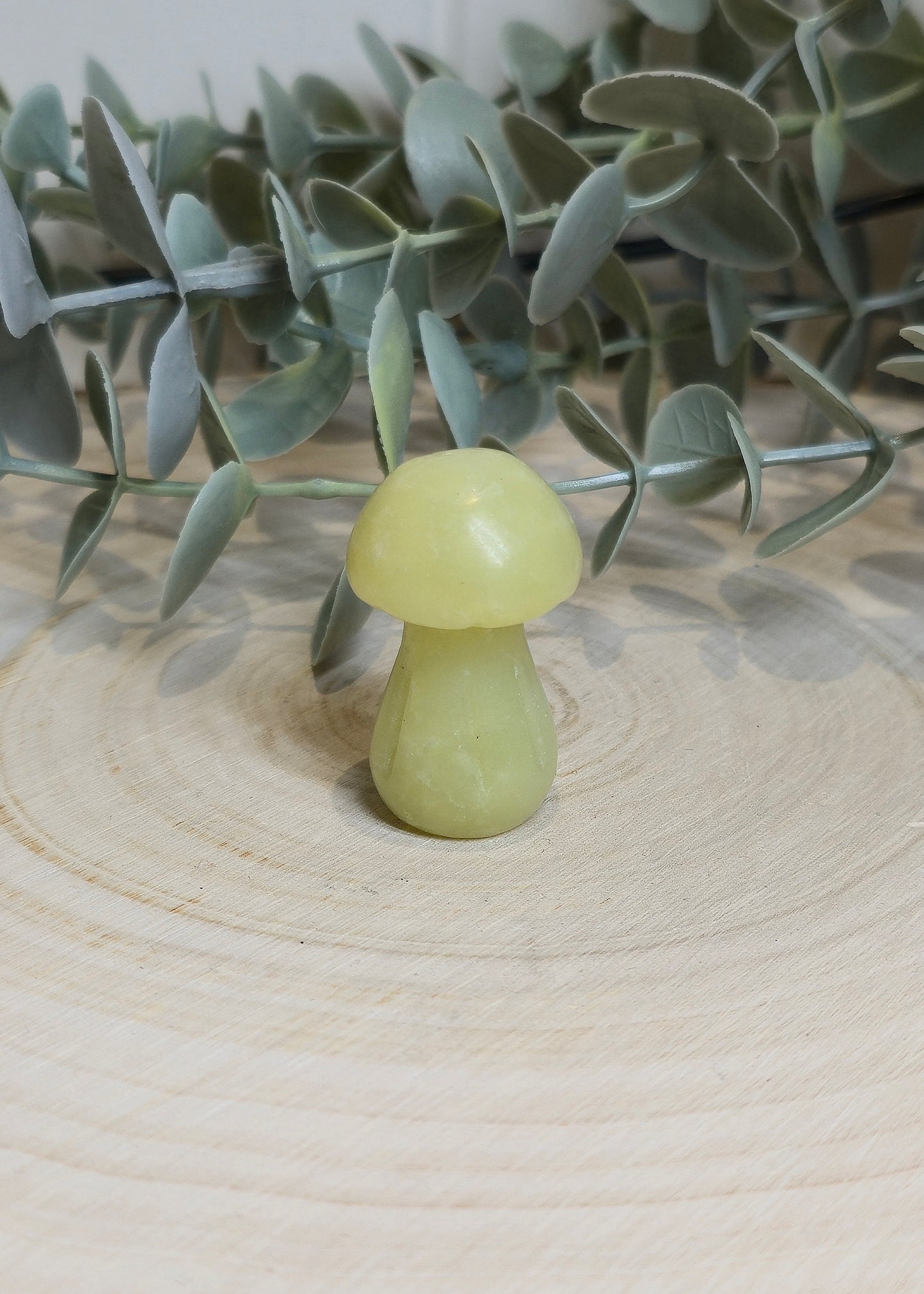 Champignon Jade Lemon