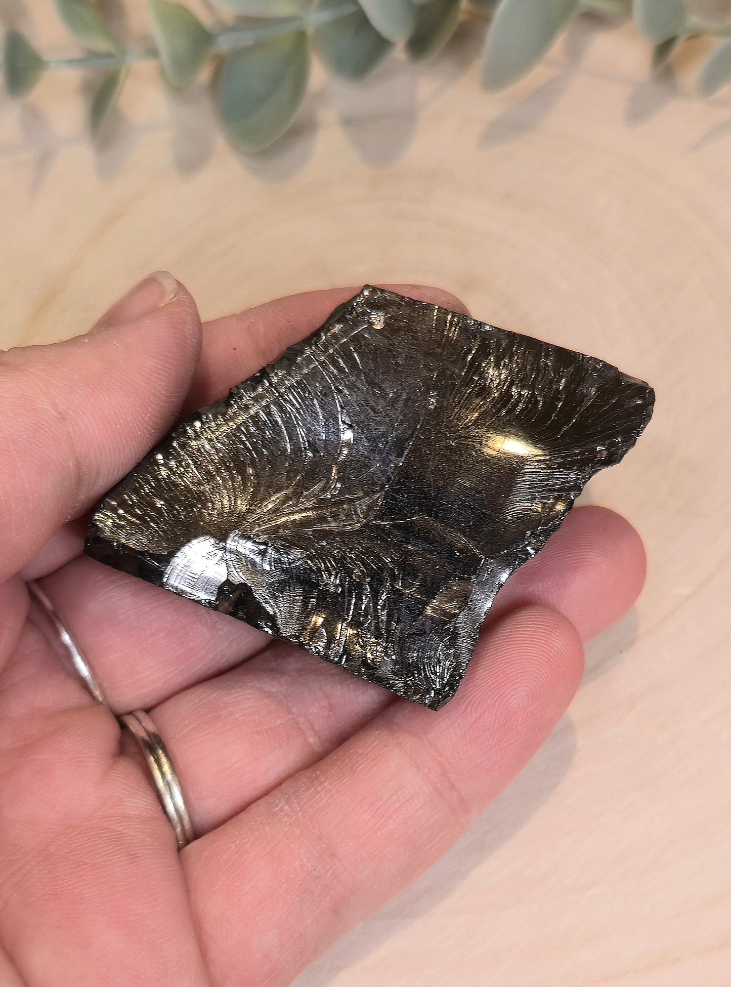 Shungite Élite brute de la Russie