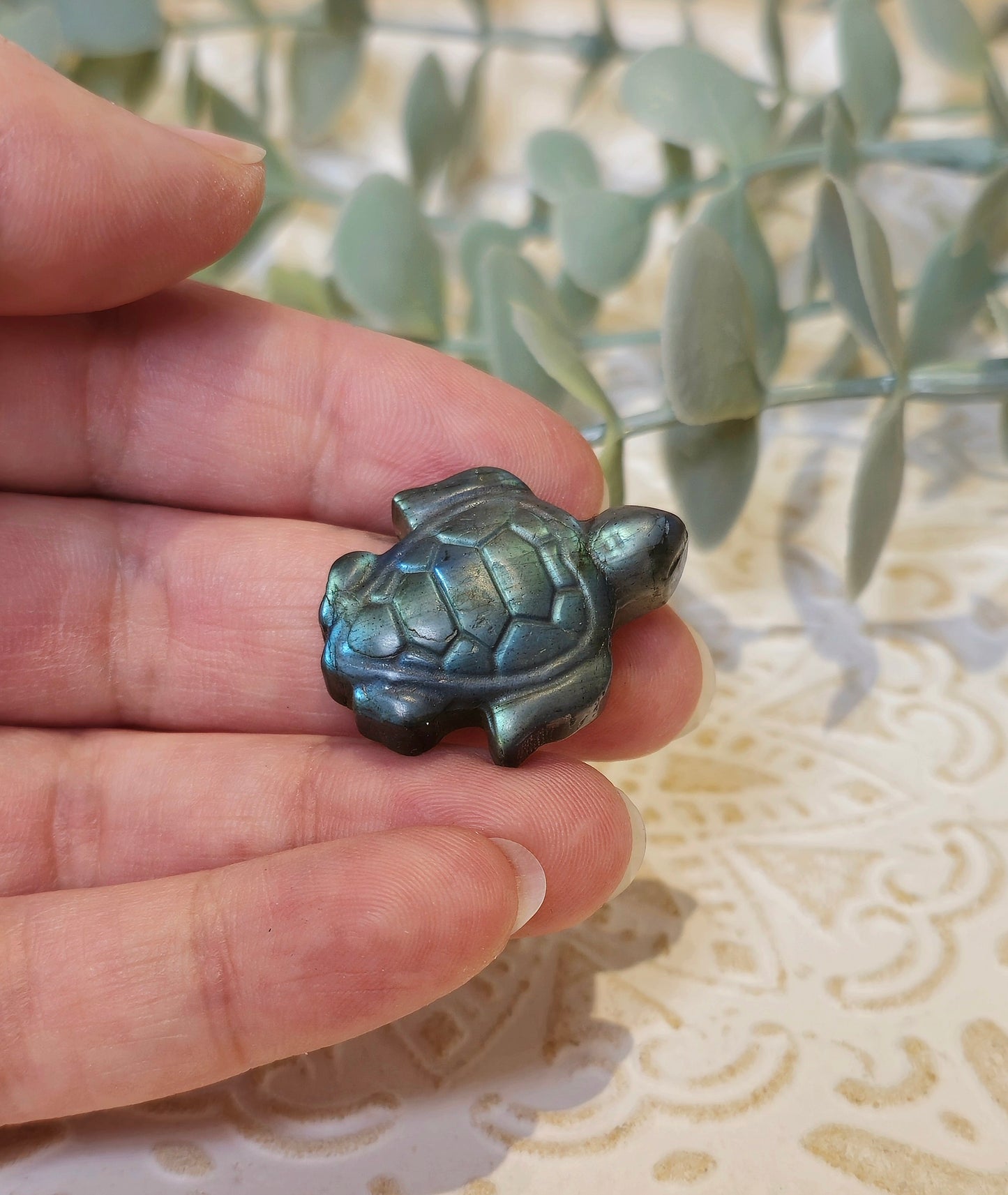 Tortue de mer Labradorite