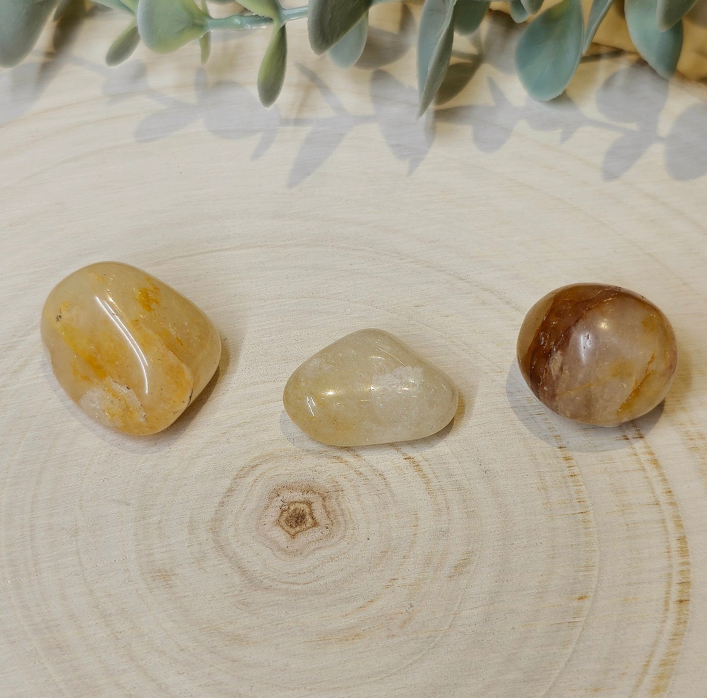 Golden Healer barattée